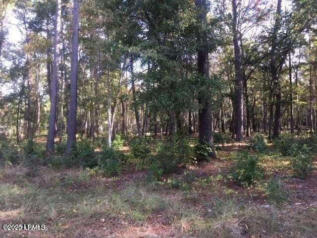 Tbd 10 - Tbd Goethe Hill Road, Beaufort, SC 29906, Beaufort