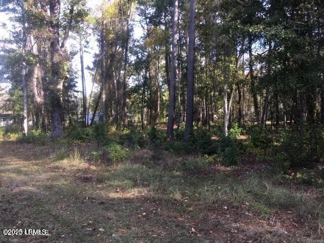 Tbd 11 - Tbd Goethe Hill Road, Beaufort, SC 29906, Beaufort