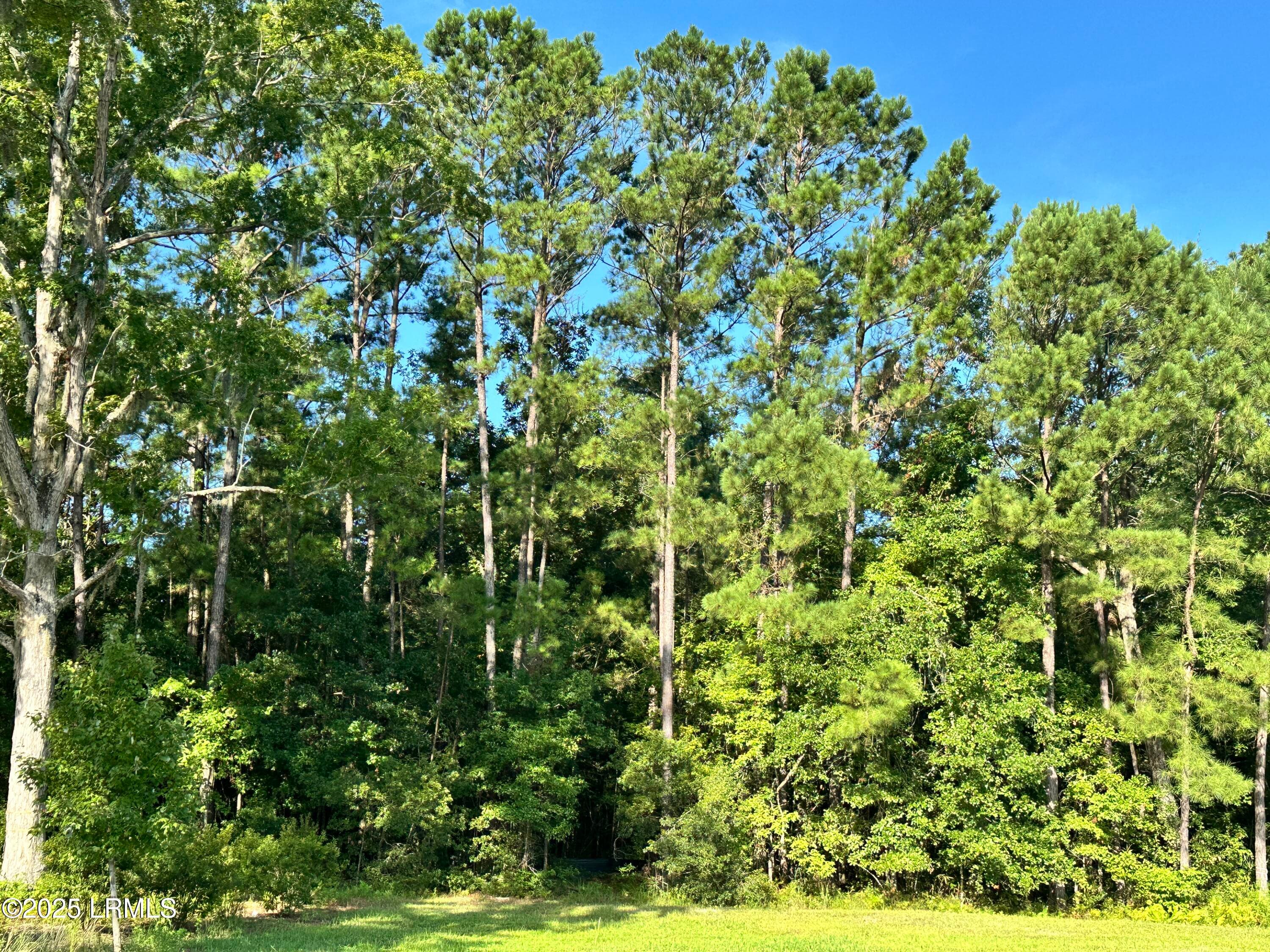 IMG_3980 - Lot 5a N Okatie Highway, Ridgeland, SC 29936