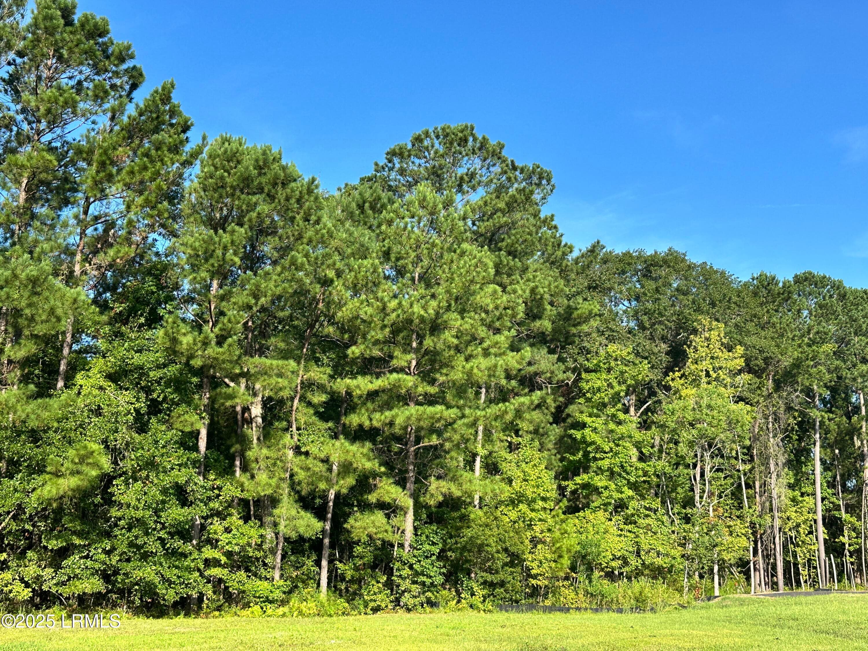 IMG_3982 - Lot 5a N Okatie Highway, Ridgeland, SC 29936