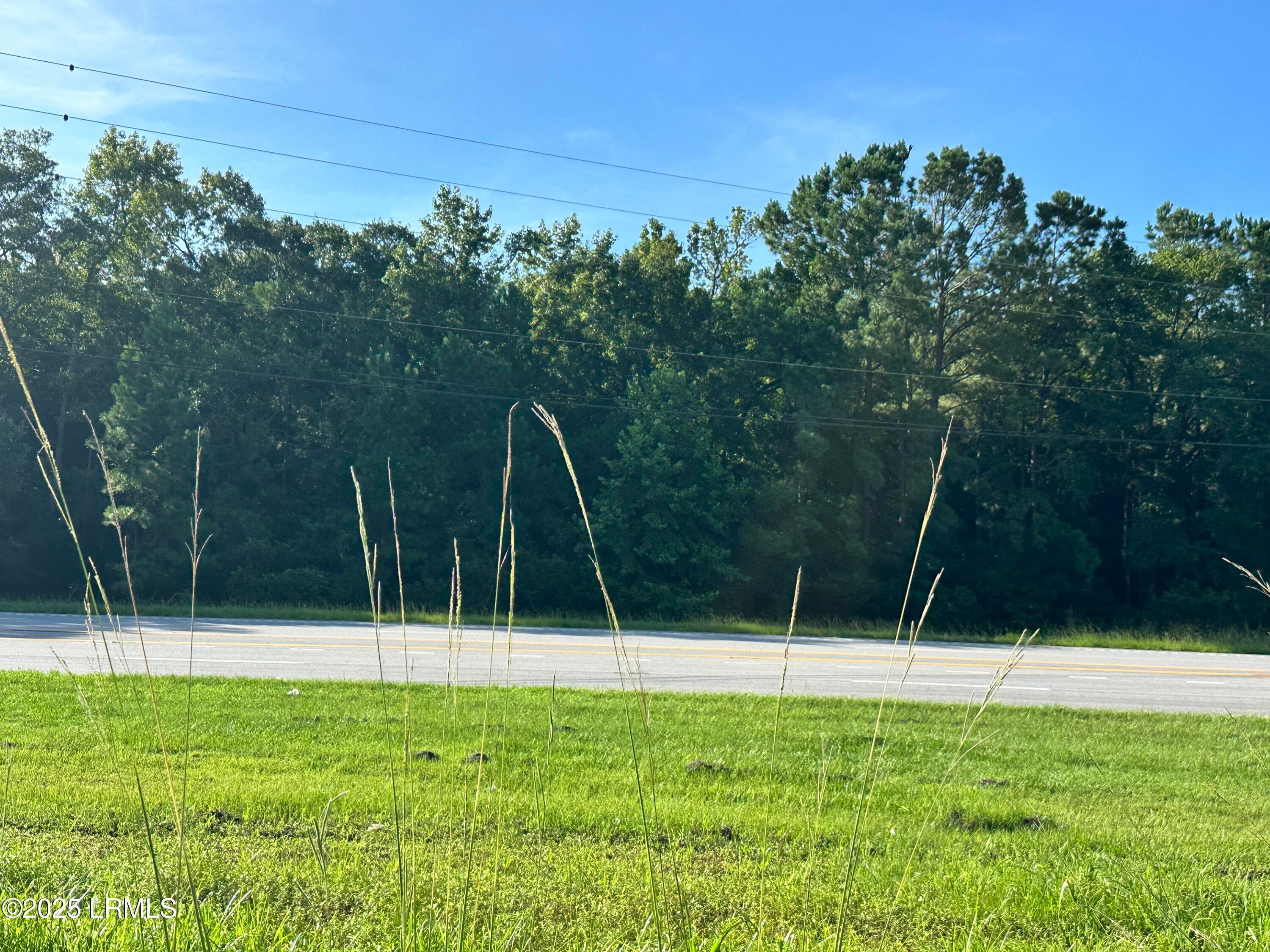 IMG_3978 - Lot 5b N Okatie Highway, Ridgeland, SC 29936