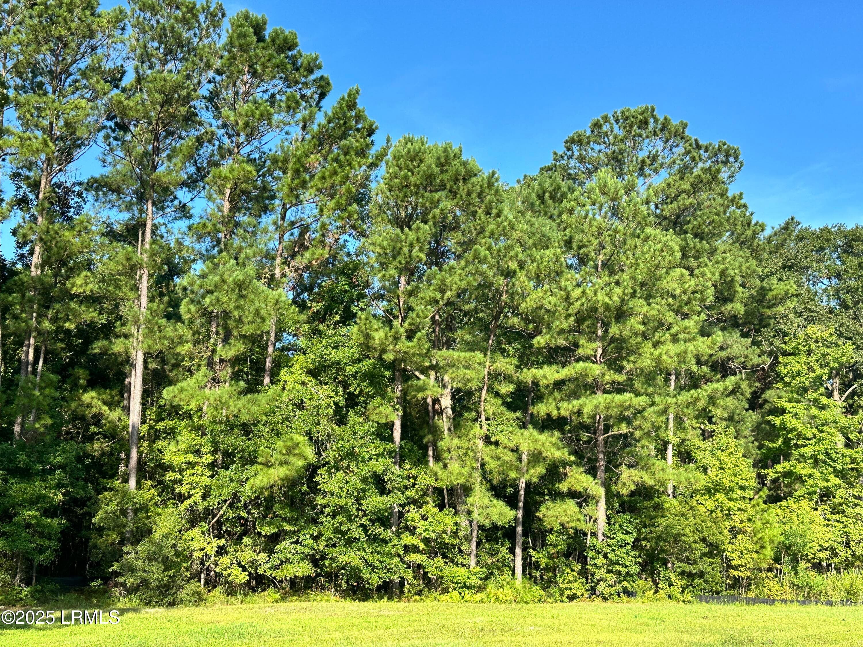 IMG_3981 - Lot 5b N Okatie Highway, Ridgeland, SC 29936