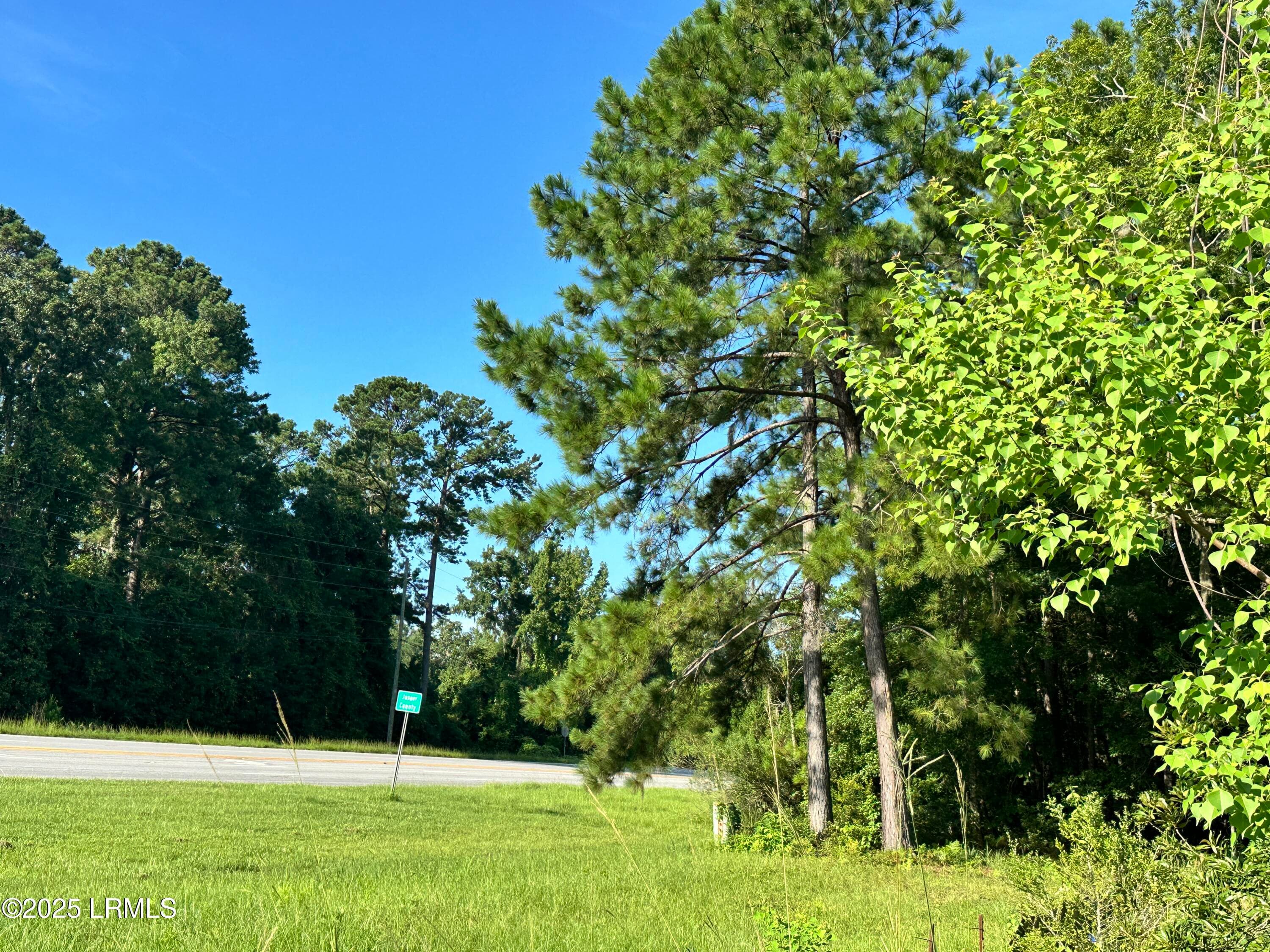 IMG_3979 - Lot 5c N Okatie Highway, Ridgeland, SC 29936