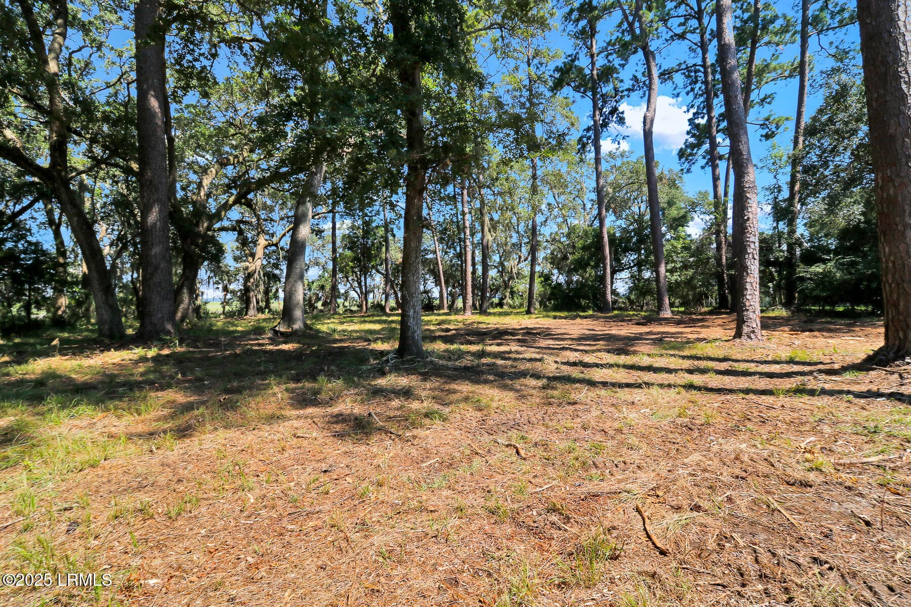 KNowles Heyward Lot-24 - 23 Broadview Drive, Ridgeland, SC 29936