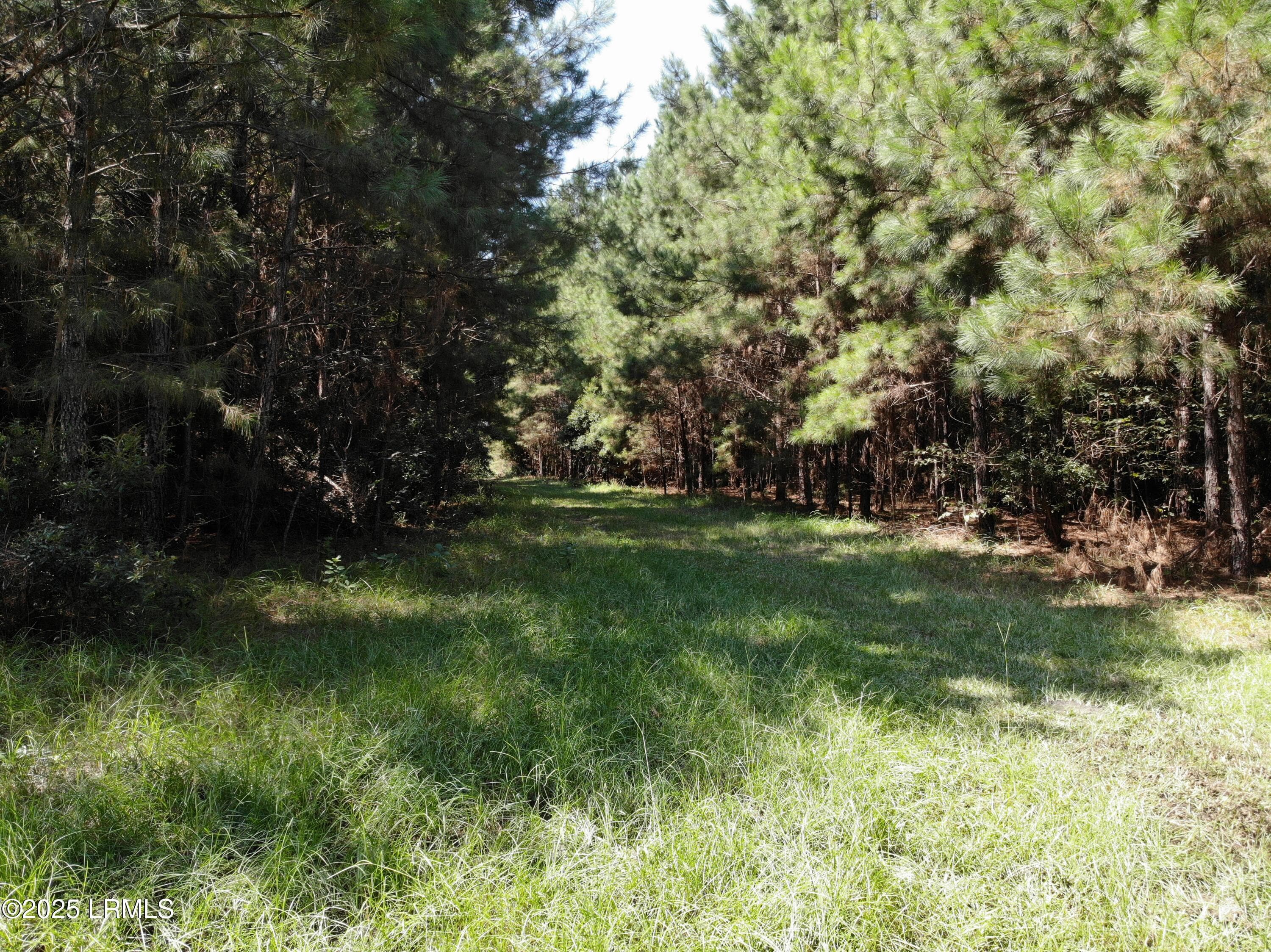 9B147CCA5A44643854DCCCFA1CD0C775 - Tbd Old Buckhead Road, Bamberg, SC 29003, Bamberg