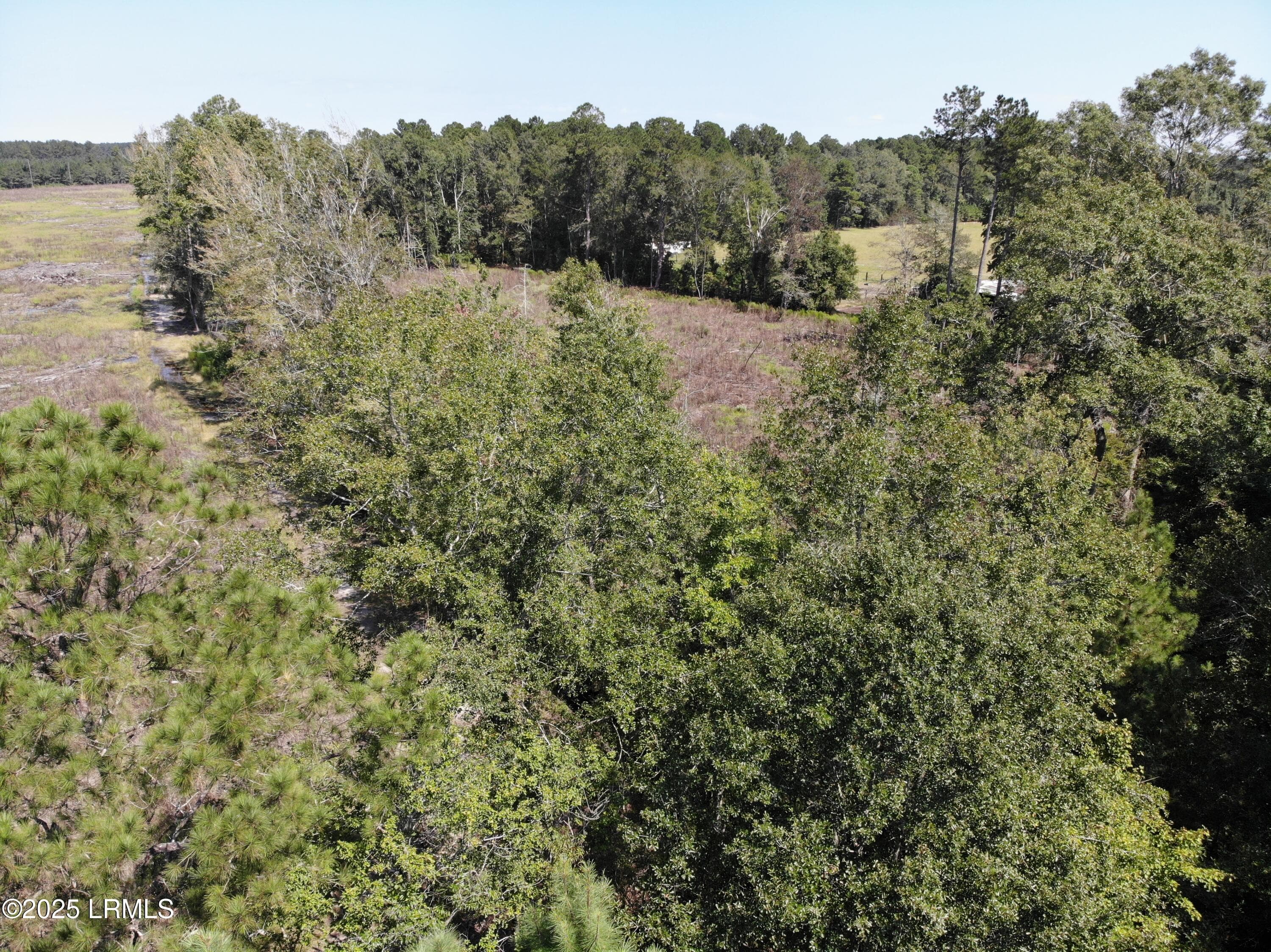 422F4652D1CF73E69C89D9C007E47F8E - Tbd Old Buckhead Road, Bamberg, SC 29003, Bamberg