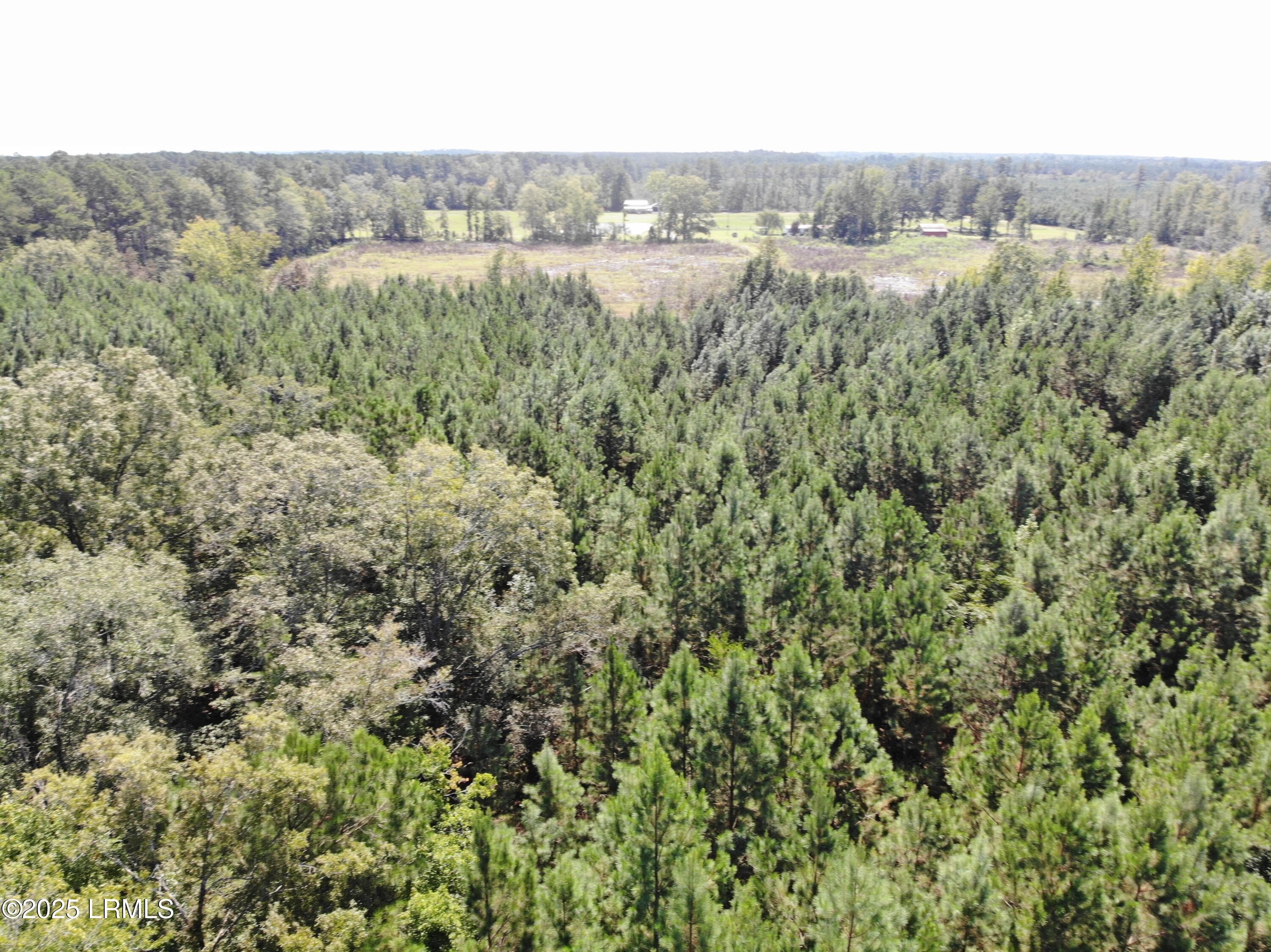 676DF301274FF10CFE6D87463B6566EA - Tbd Old Buckhead Road, Bamberg, SC 29003, Bamberg