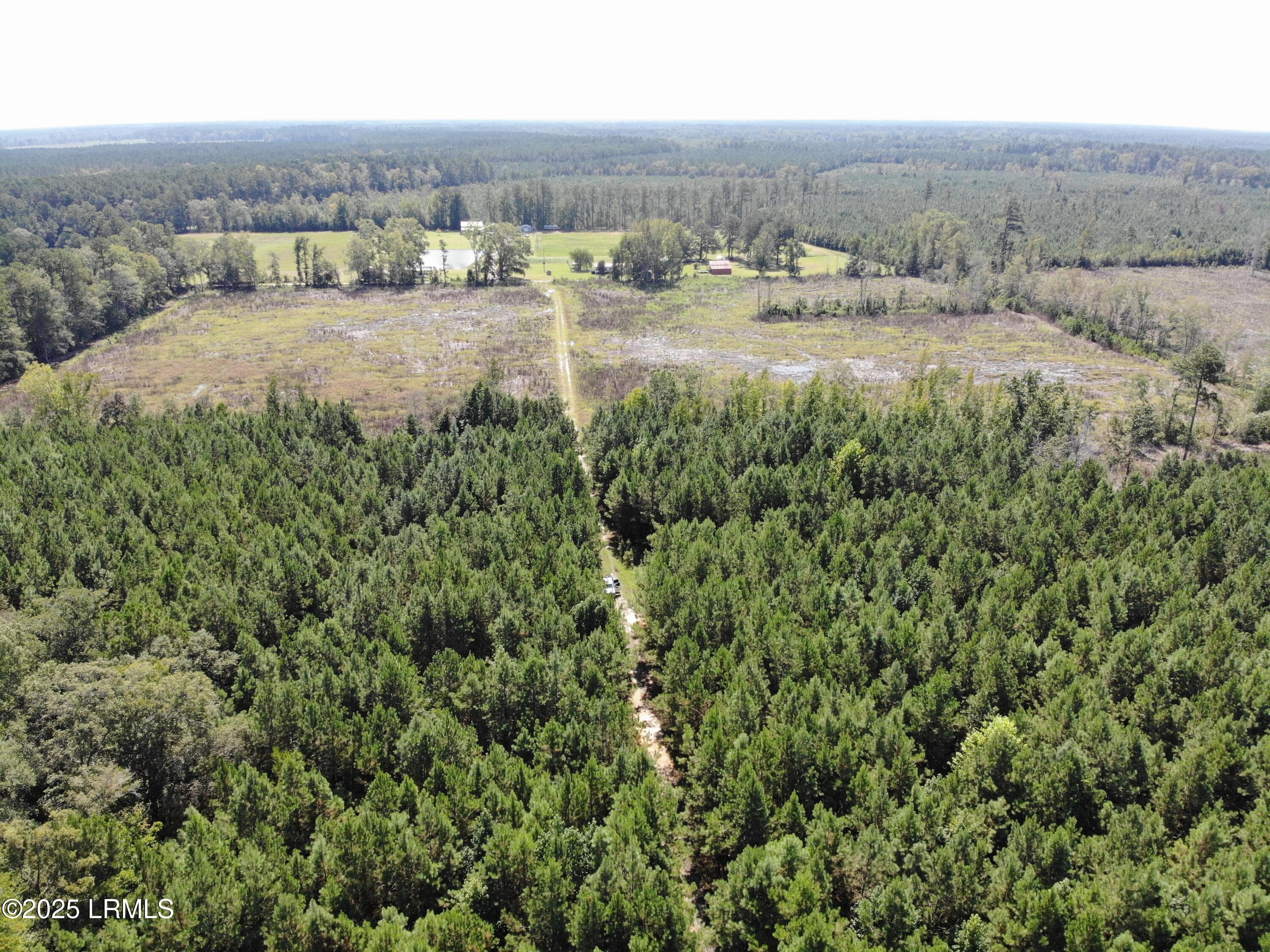 65768084F4AD06EAE31E7F2E68724B80 - Tbd Old Buckhead Road, Bamberg, SC 29003, Bamberg