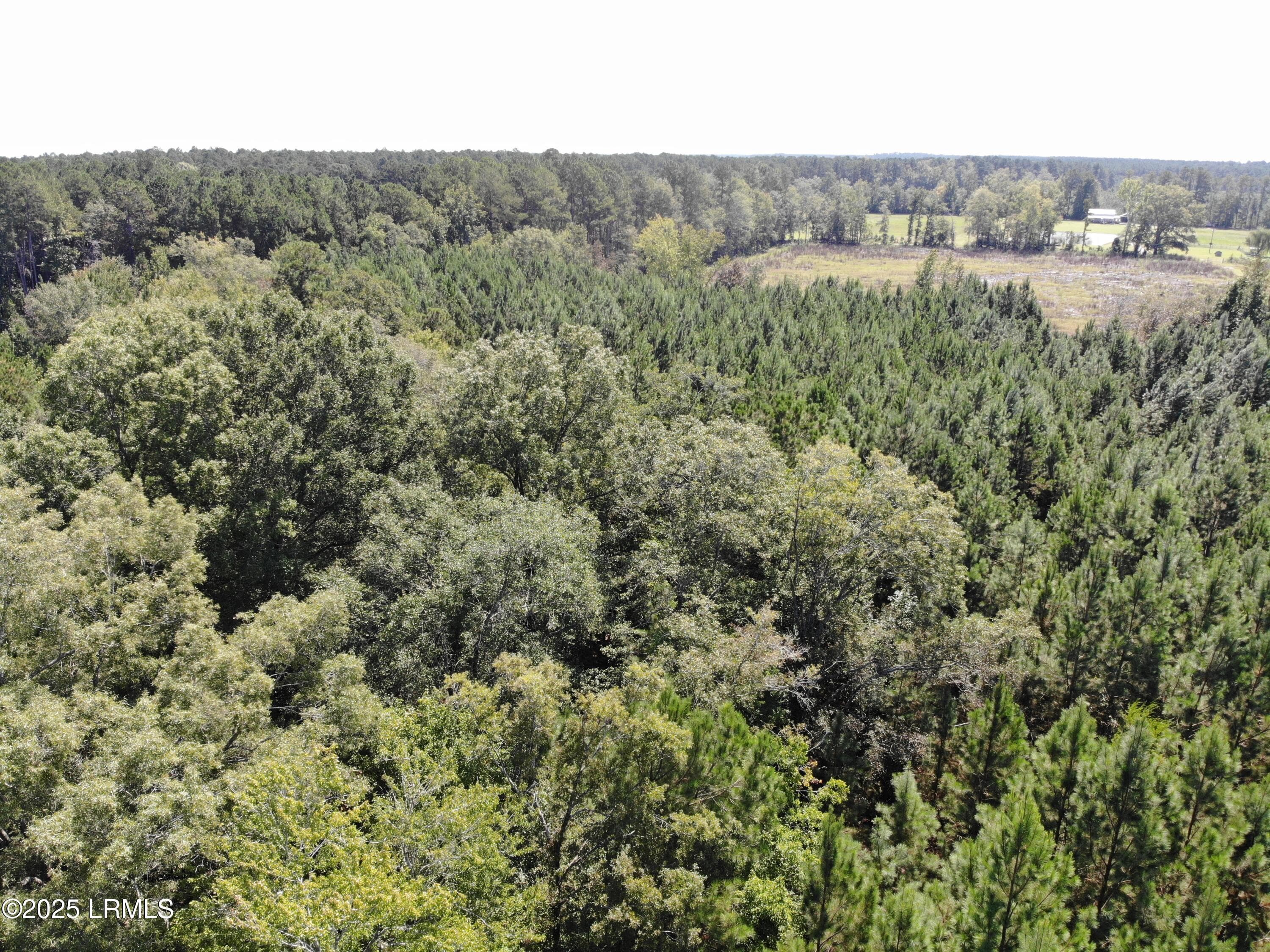 6C9867B9D7A2B3852FDAD32D25B1D027(1) - Tbd Old Buckhead Road, Bamberg, SC 29003, Bamberg