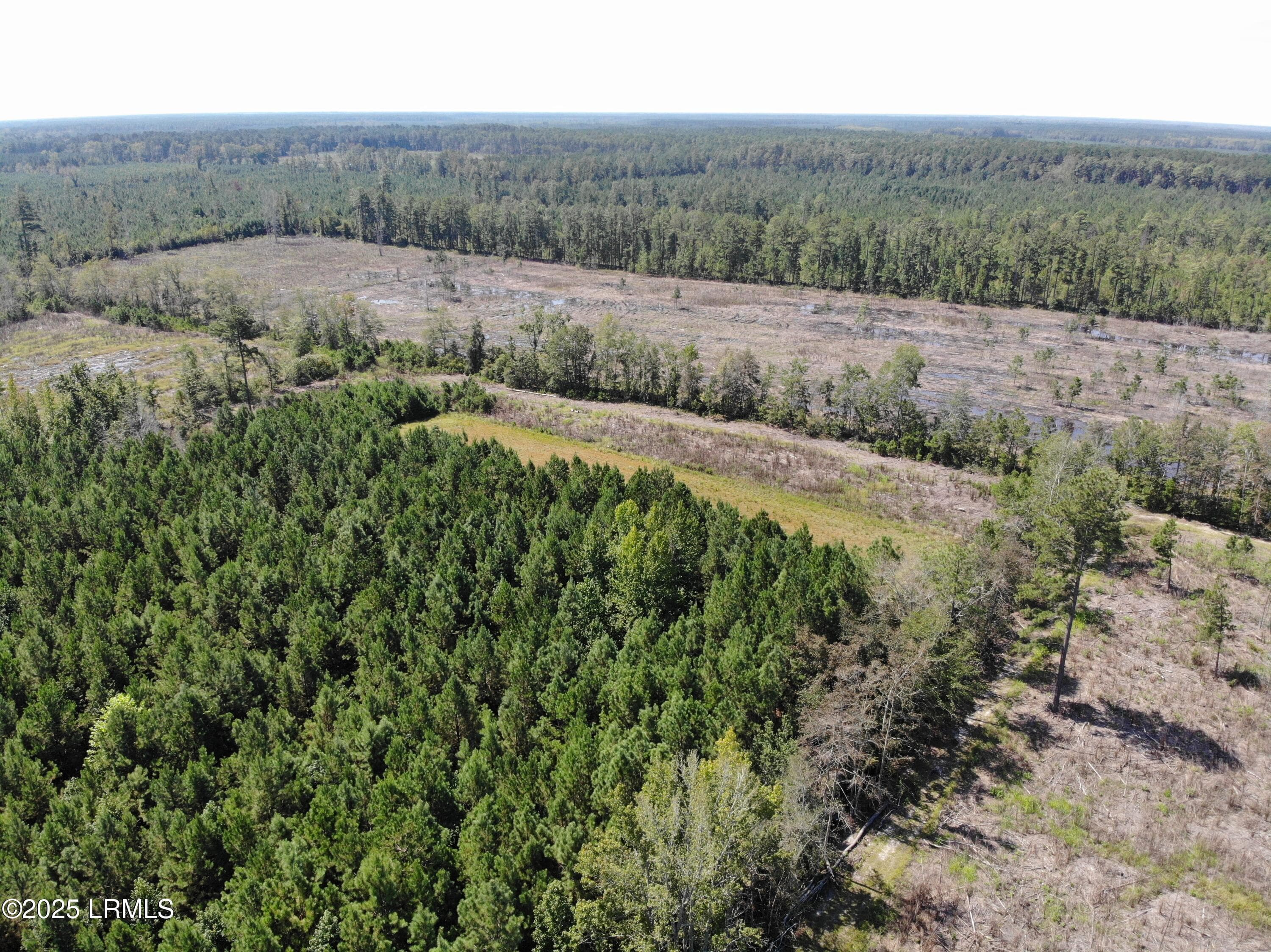 70A23DECFAD5D6691065EFAB544BF6C0 - Tbd Old Buckhead Road, Bamberg, SC 29003, Bamberg