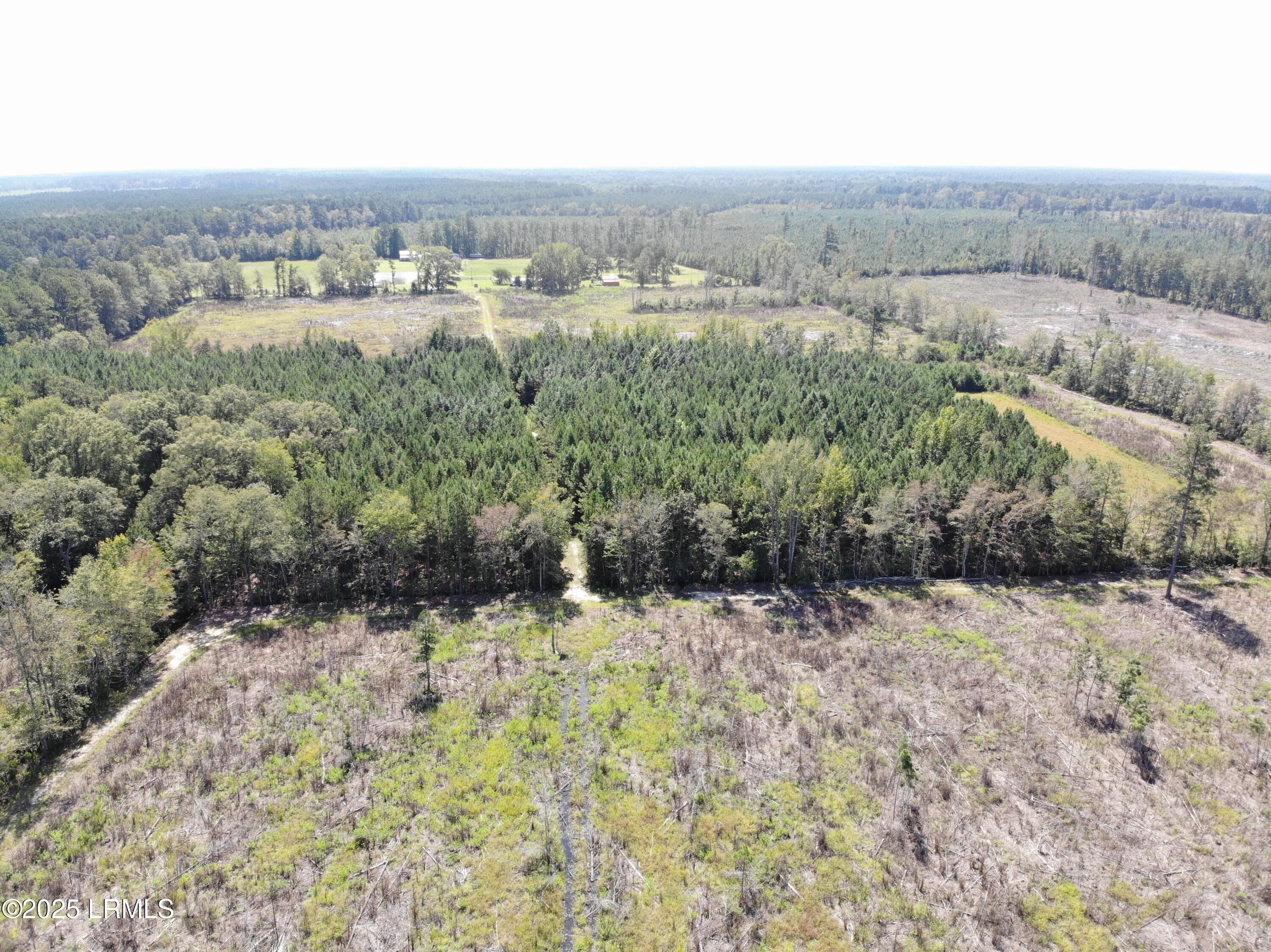 659A56FFDDE83F2F5F0B50CB5E191670 - Tbd Old Buckhead Road, Bamberg, SC 29003, Bamberg