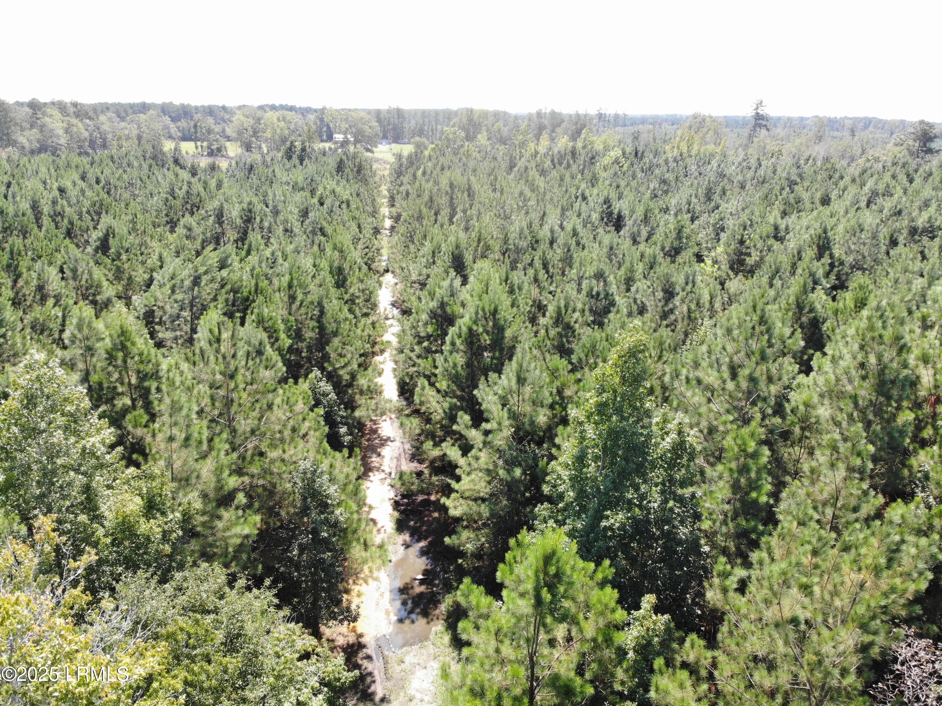 B31B315C6D4B57B598C092947F19BF9B - Tbd Old Buckhead Road, Bamberg, SC 29003, Bamberg