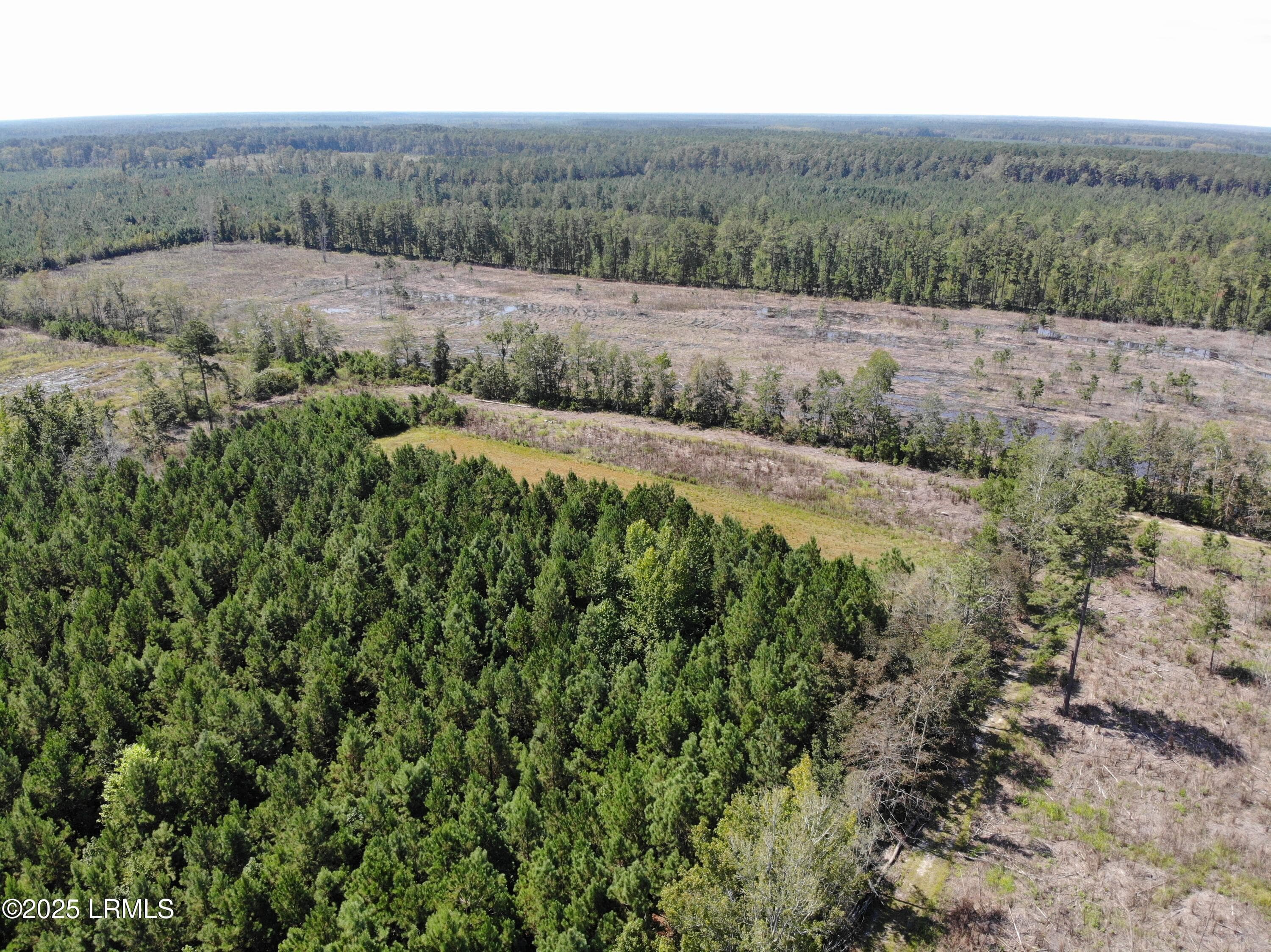 D4FB60065802679C521F971A2B928C47 - Tbd Old Buckhead Road, Bamberg, SC 29003, Bamberg