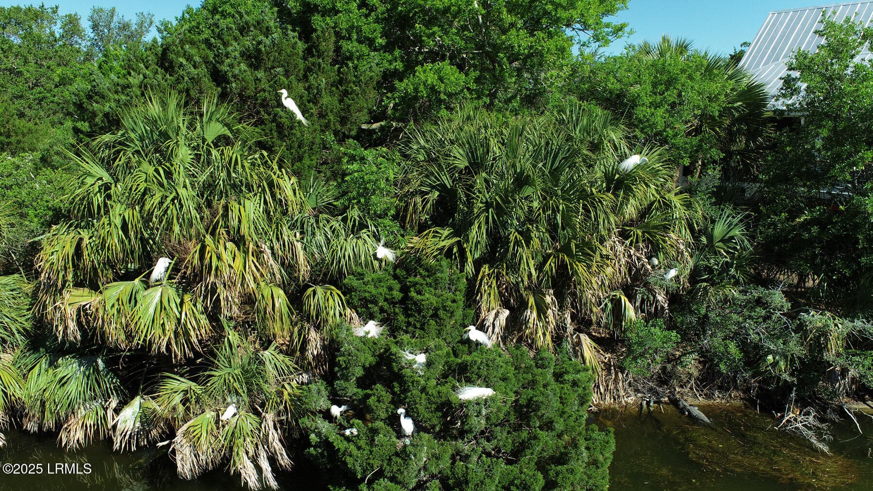 DJI_0021 - 6 W Marsh Drive, St. Helena Island, SC 29920