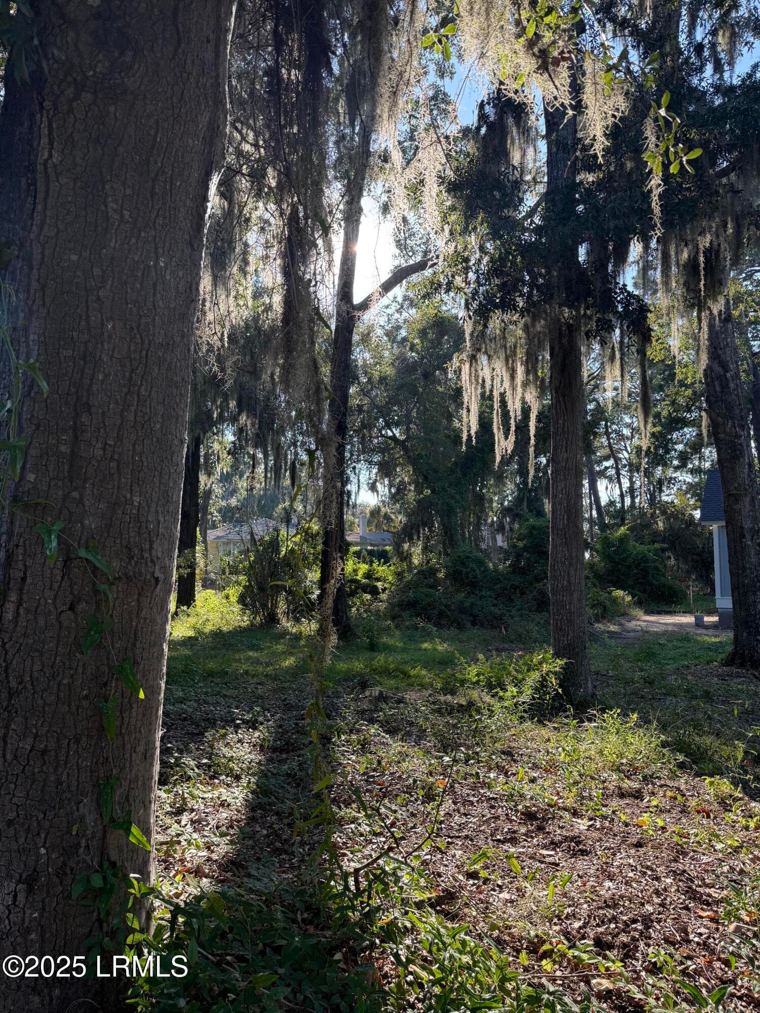 IMG_6260 - 2214 Pigeon Point Road, Beaufort, SC 29902