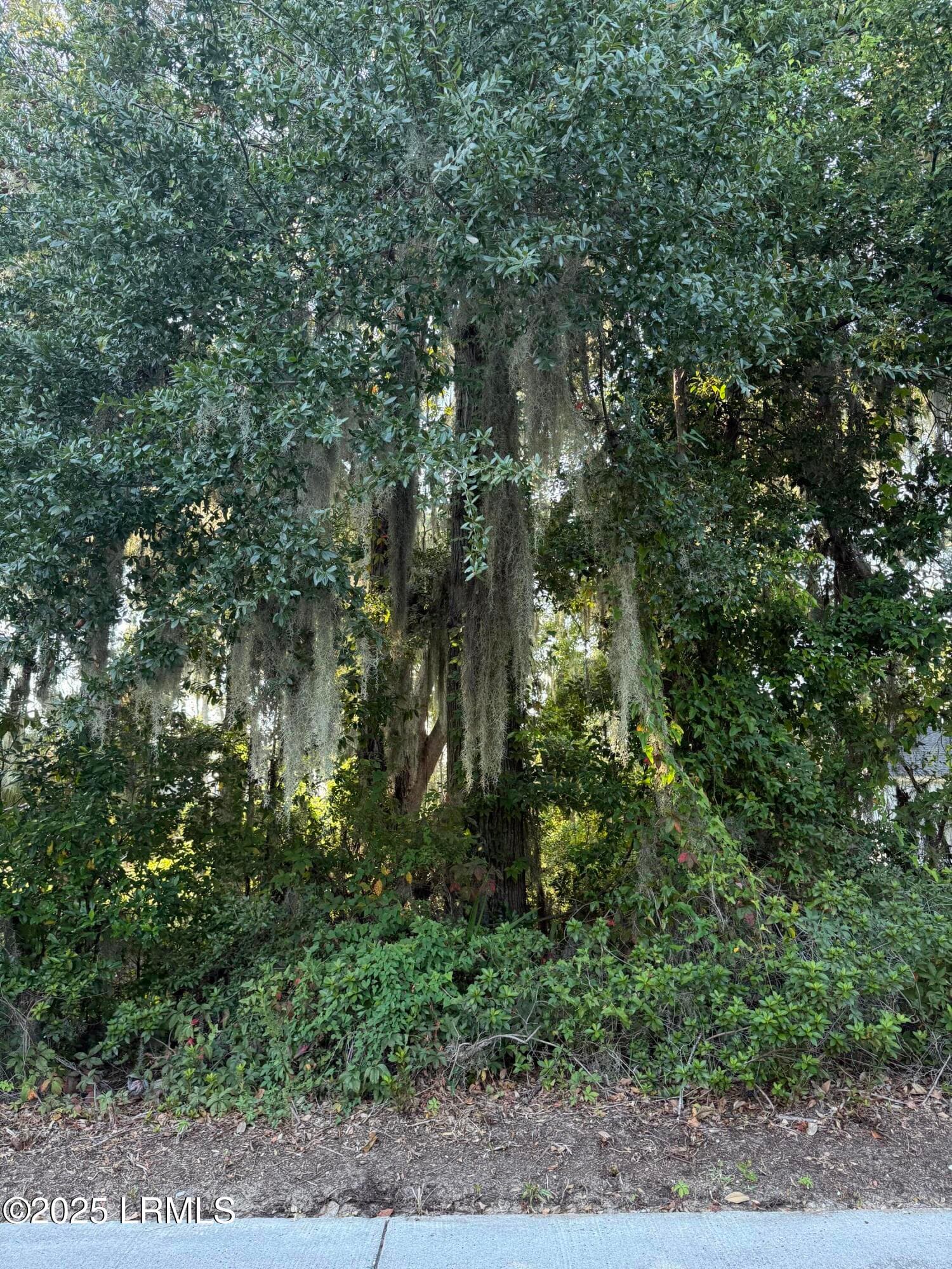 IMG_6259 - 2214 Pigeon Point Road, Beaufort, SC 29902