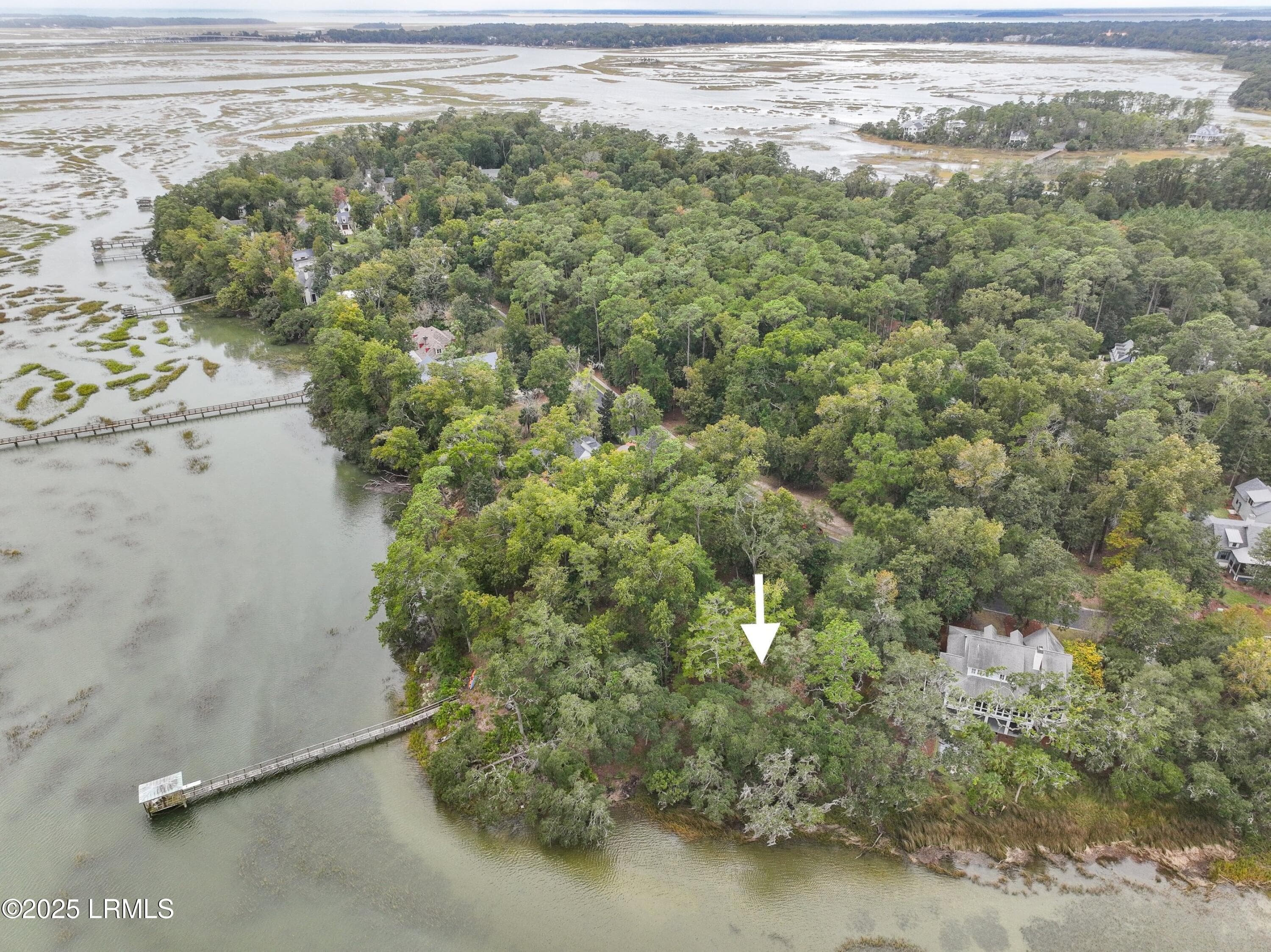 DJI_0906-1.jpg-SMALL - 233 De La Gaye Point, Beaufort, SC 29902