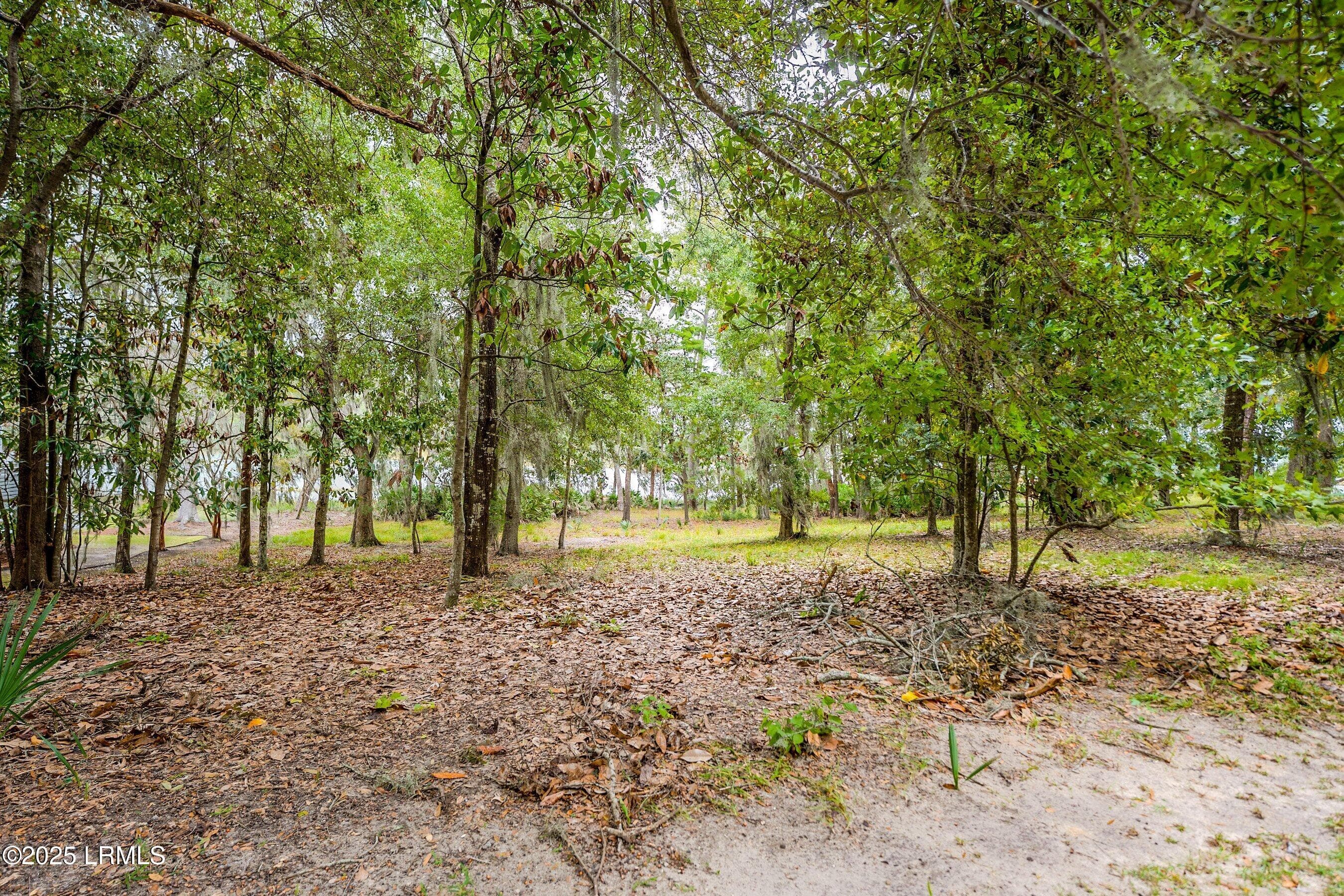 DSC07142-495-HDR-1.jpg-SMALL - 233 De La Gaye Point, Beaufort, SC 29902