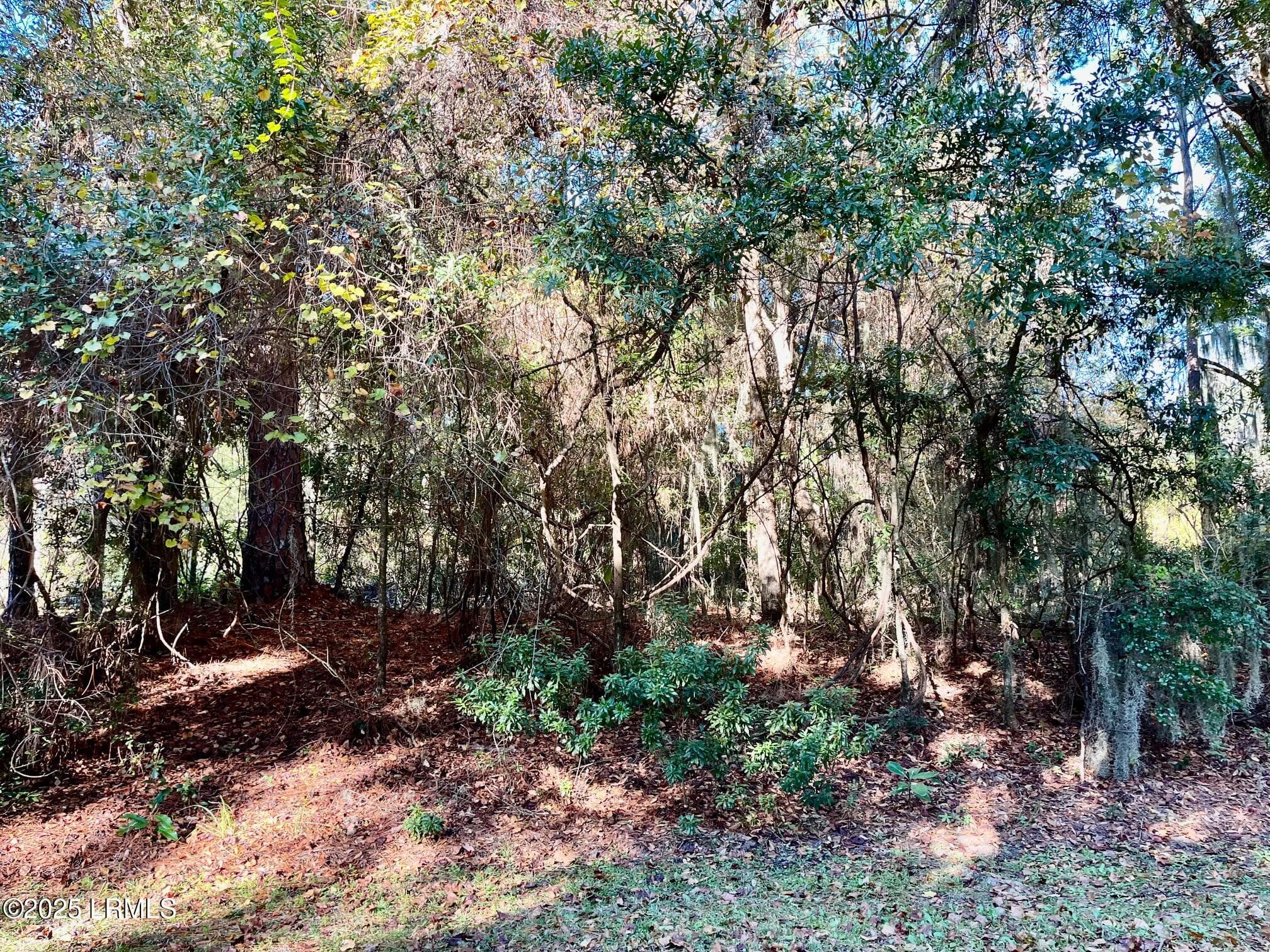 5 Shade Tree Lane, Lady's Island, SC 29907