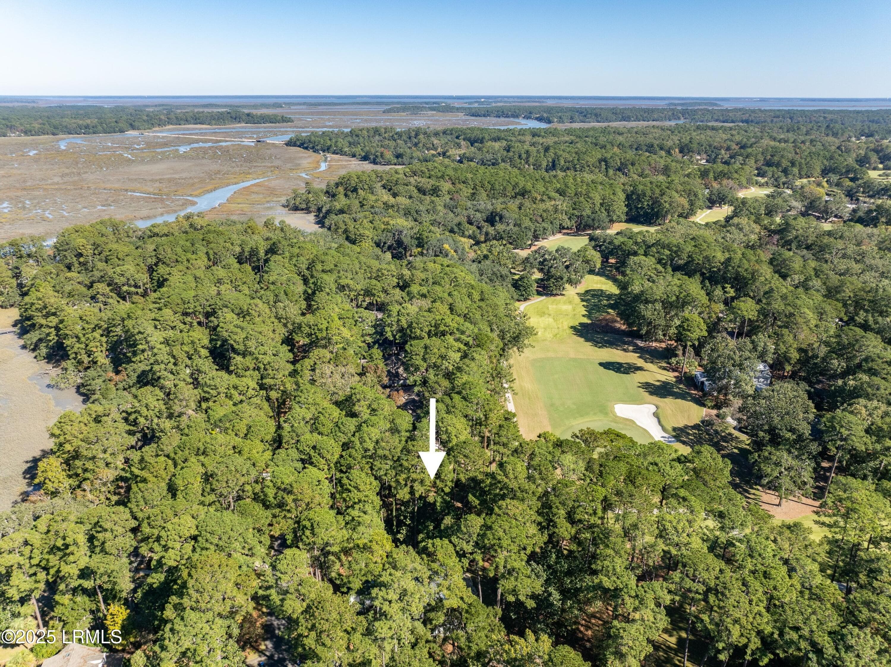 DJI_0002-1.jpg-SMALL - 51 Winding Oak Drive, Okatie, SC 29909