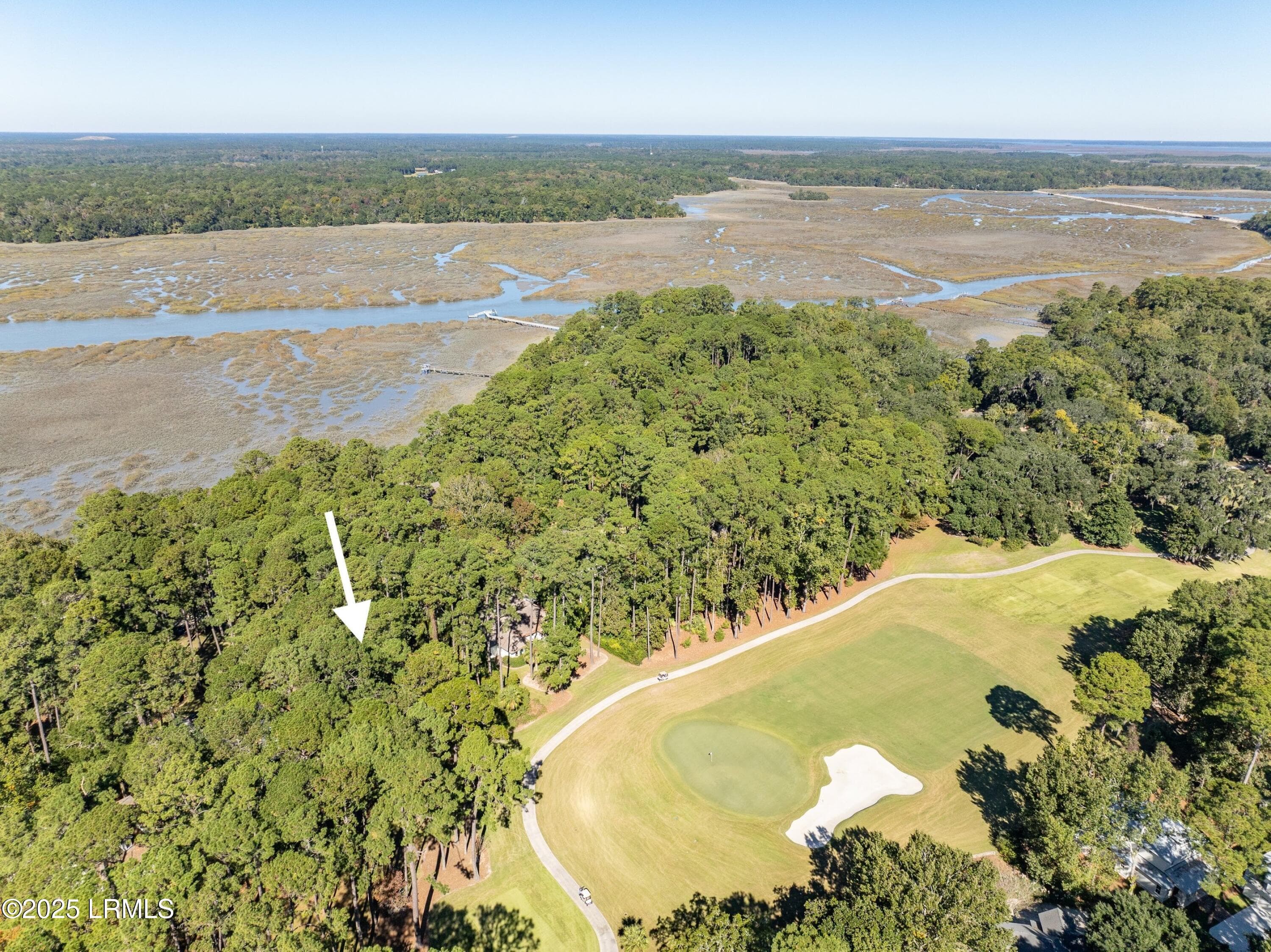 DJI_0004-1.jpg-SMALL - 51 Winding Oak Drive, Okatie, SC 29909