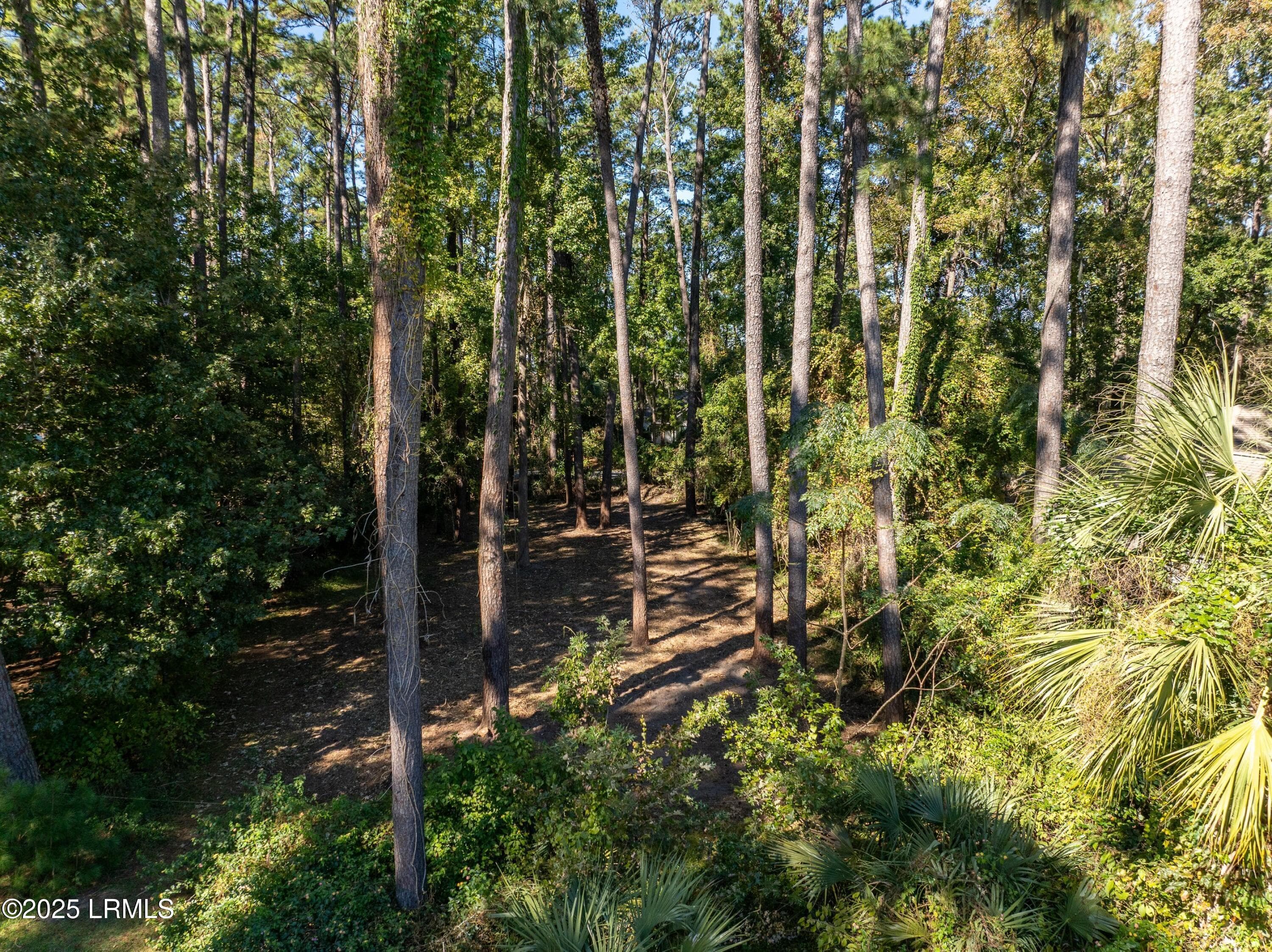 DJI_0010-1.jpg-SMALL - 51 Winding Oak Drive, Okatie, SC 29909