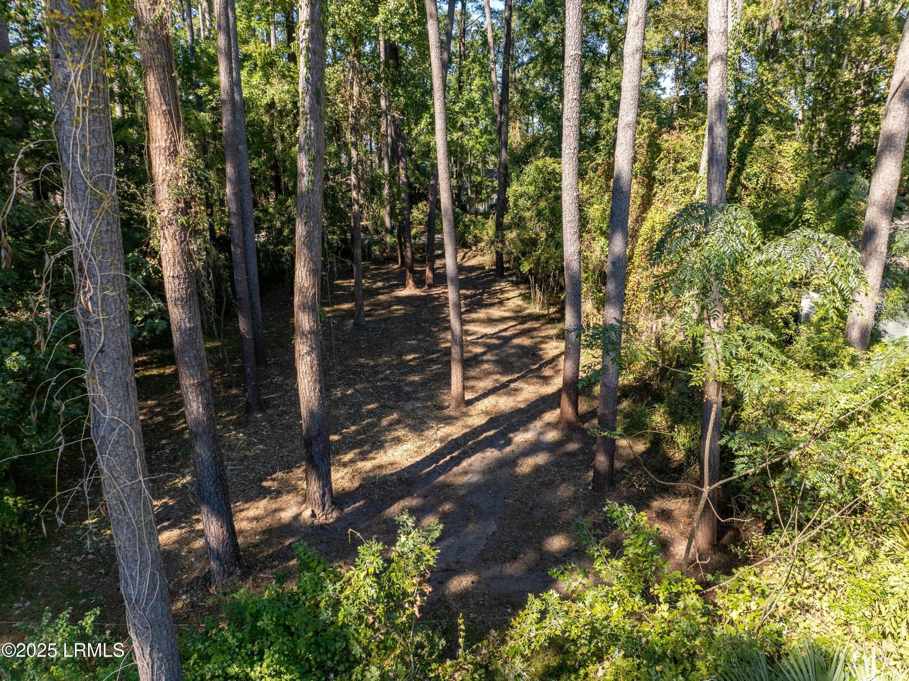 DJI_0011-1.jpg-SMALL - 51 Winding Oak Drive, Okatie, SC 29909
