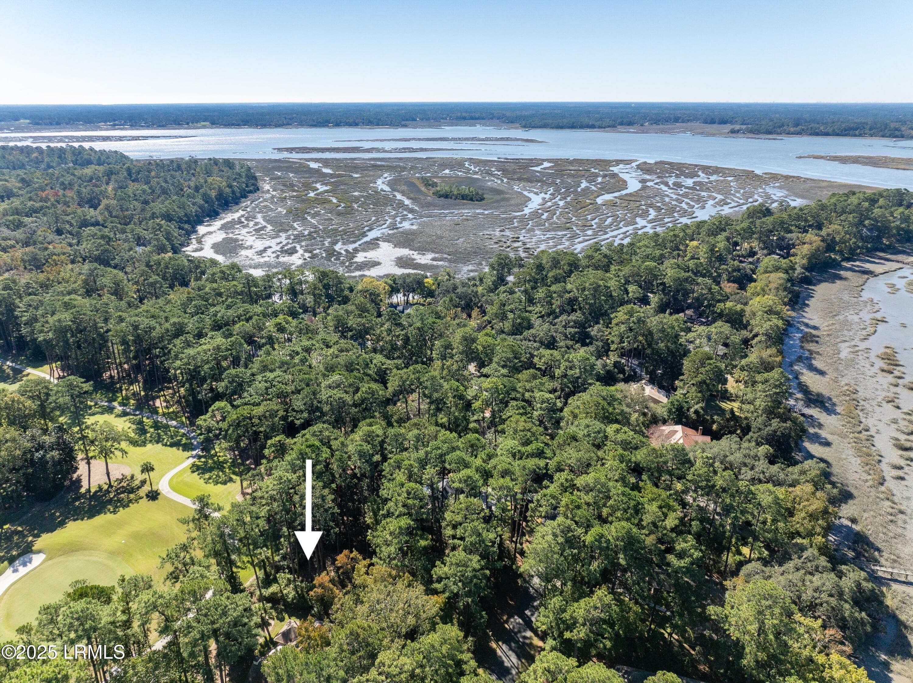 DJI_0998-1.jpg-SMALL - 51 Winding Oak Drive, Okatie, SC 29909