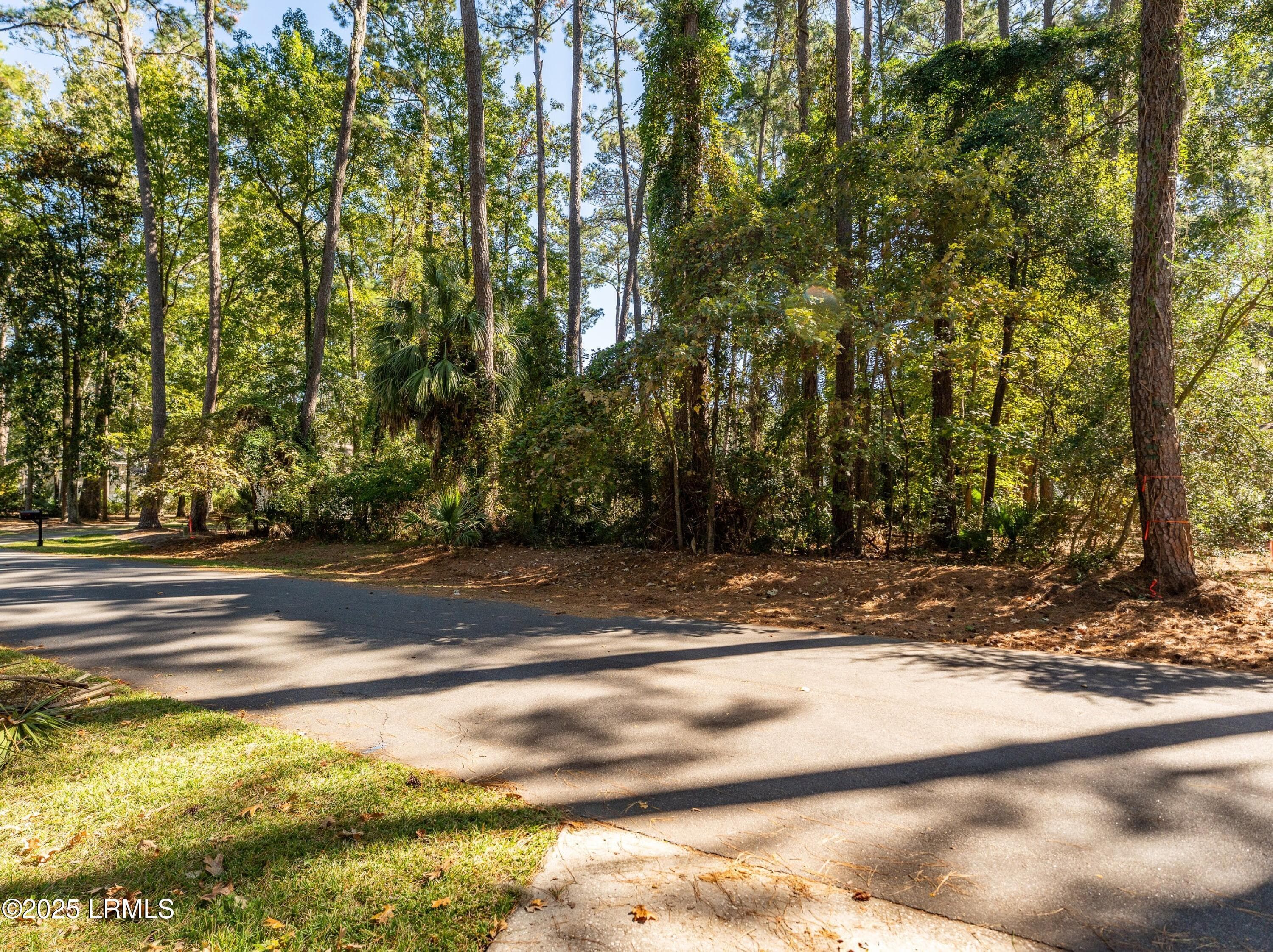 DSC09554-1.jpg-SMALL - 51 Winding Oak Drive, Okatie, SC 29909