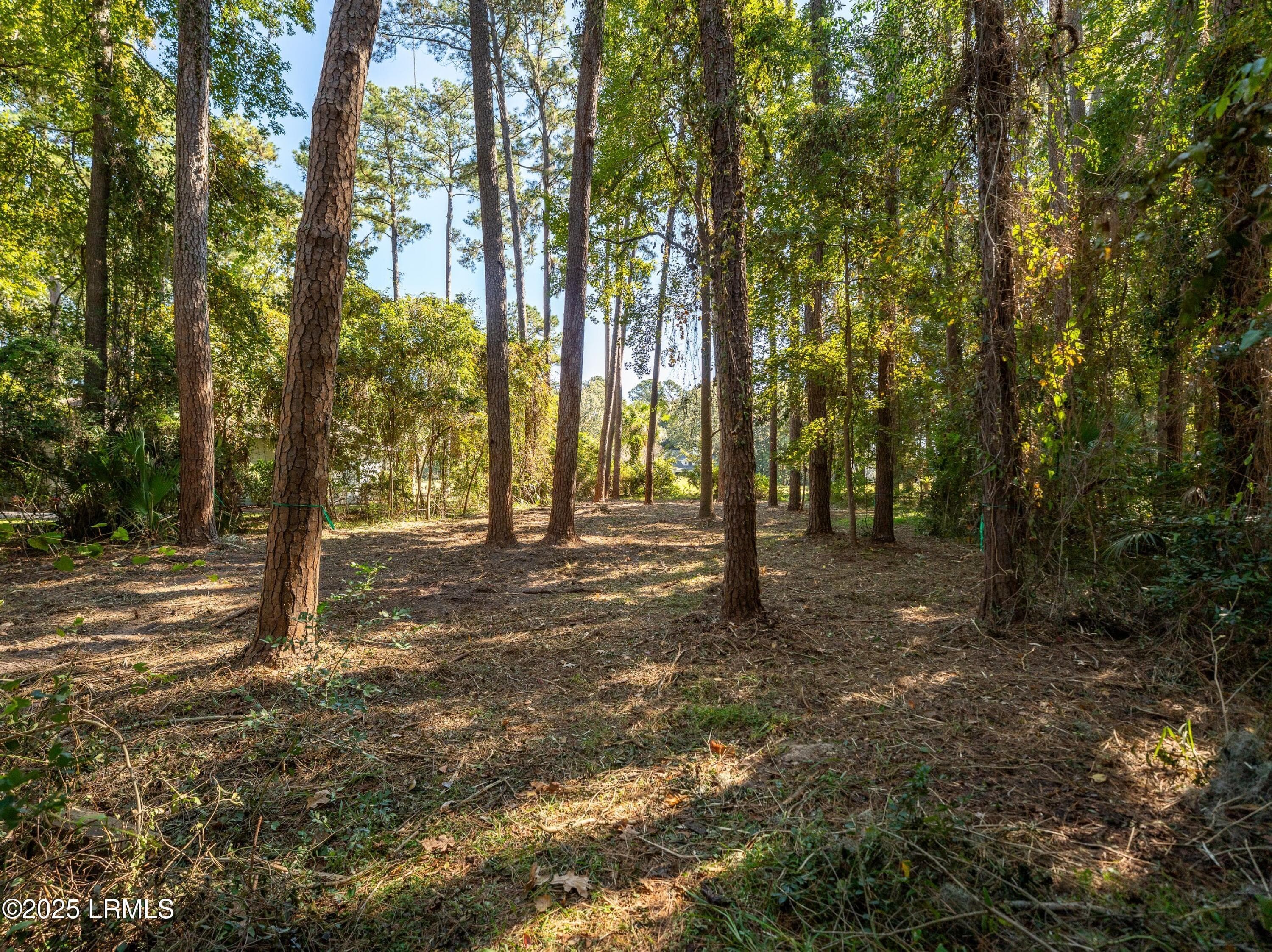 DSC09559-1.jpg-SMALL - 51 Winding Oak Drive, Okatie, SC 29909