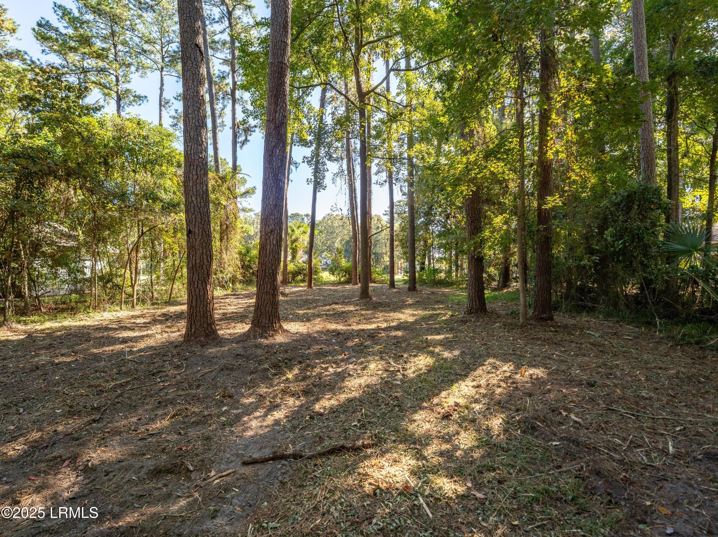 DSC09564-1.jpg-SMALL - 51 Winding Oak Drive, Okatie, SC 29909