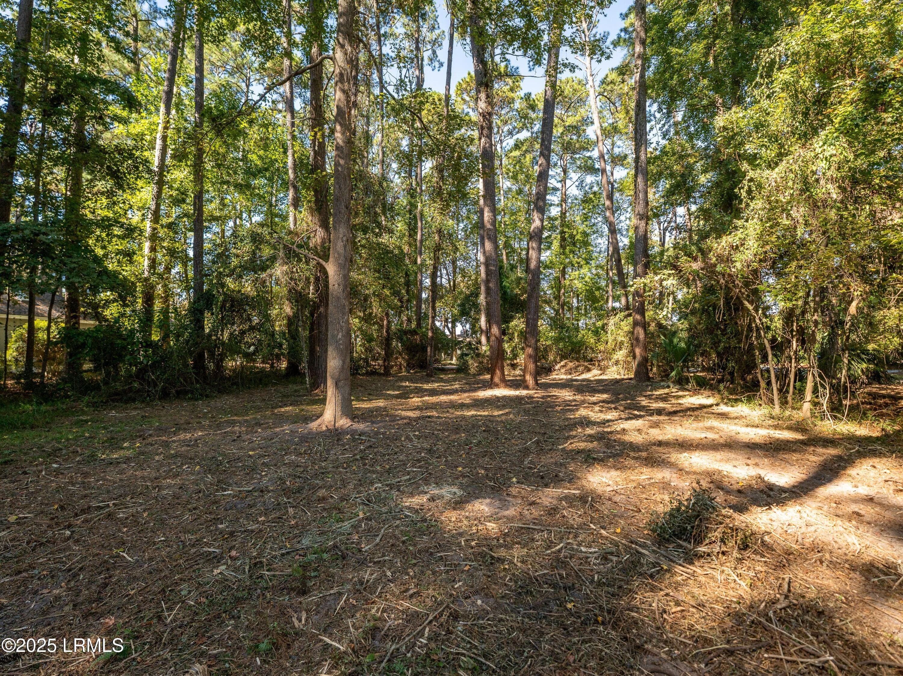 DSC09574-1.jpg-SMALL - 51 Winding Oak Drive, Okatie, SC 29909