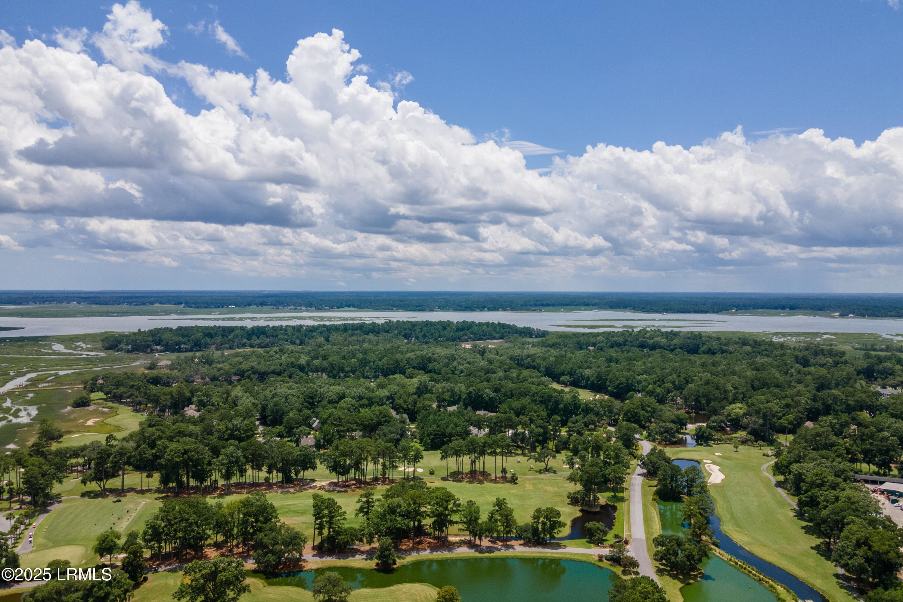 DJI_0313 copy - 51 Winding Oak Drive, Okatie, SC 29909