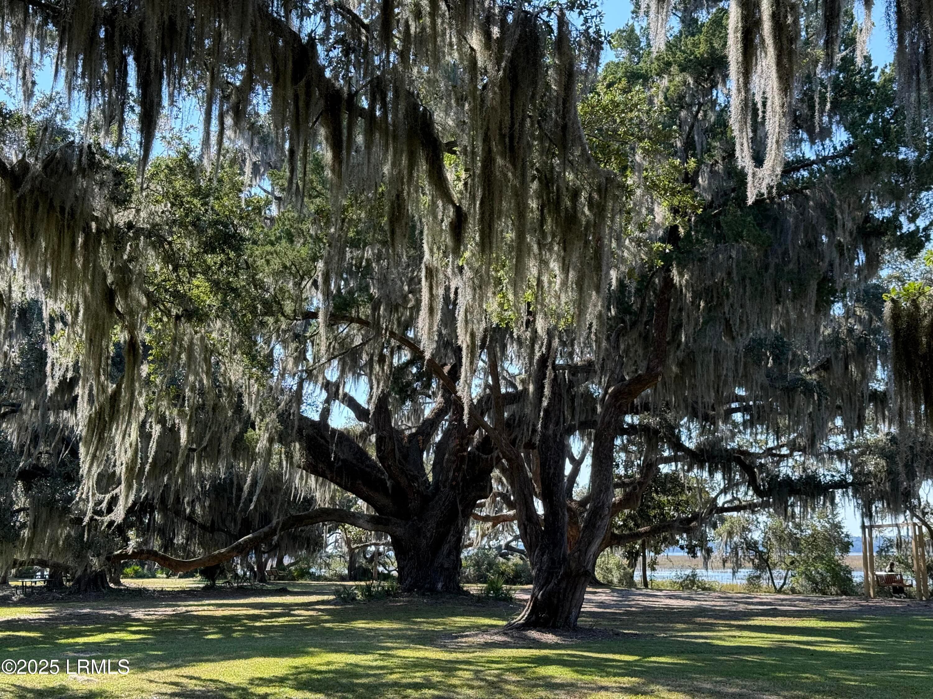 IMG_0934 - 6 Harborview Circle, Beaufort, SC 29907