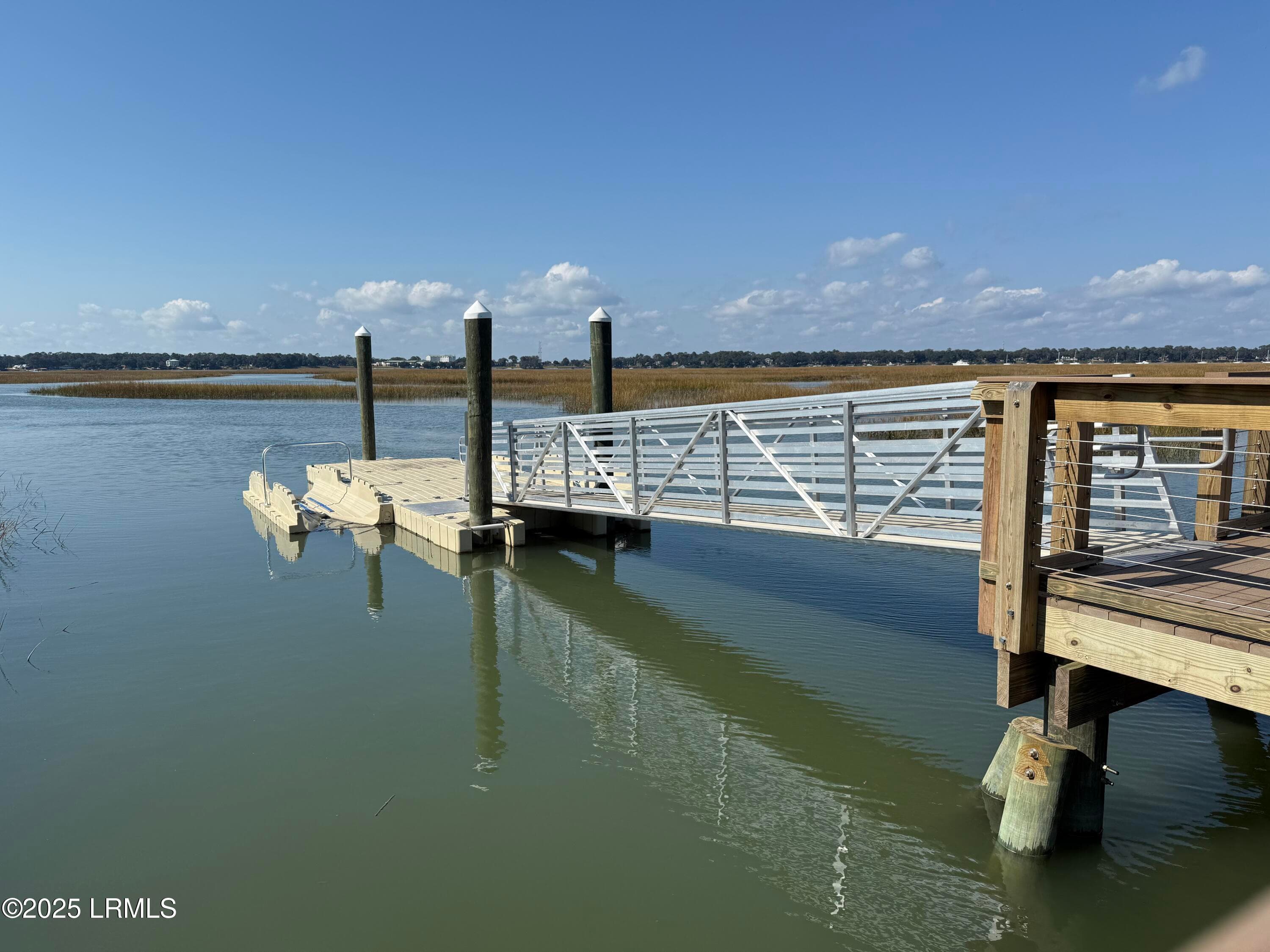 IMG_0928 - 6 Harborview Circle, Beaufort, SC 29907