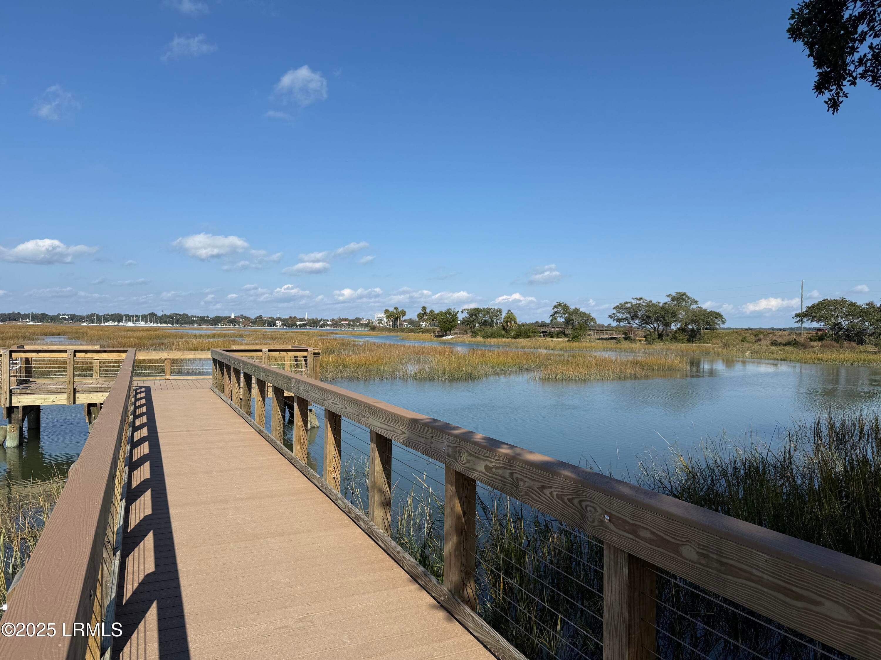 IMG_0927 - 6 Harborview Circle, Beaufort, SC 29907