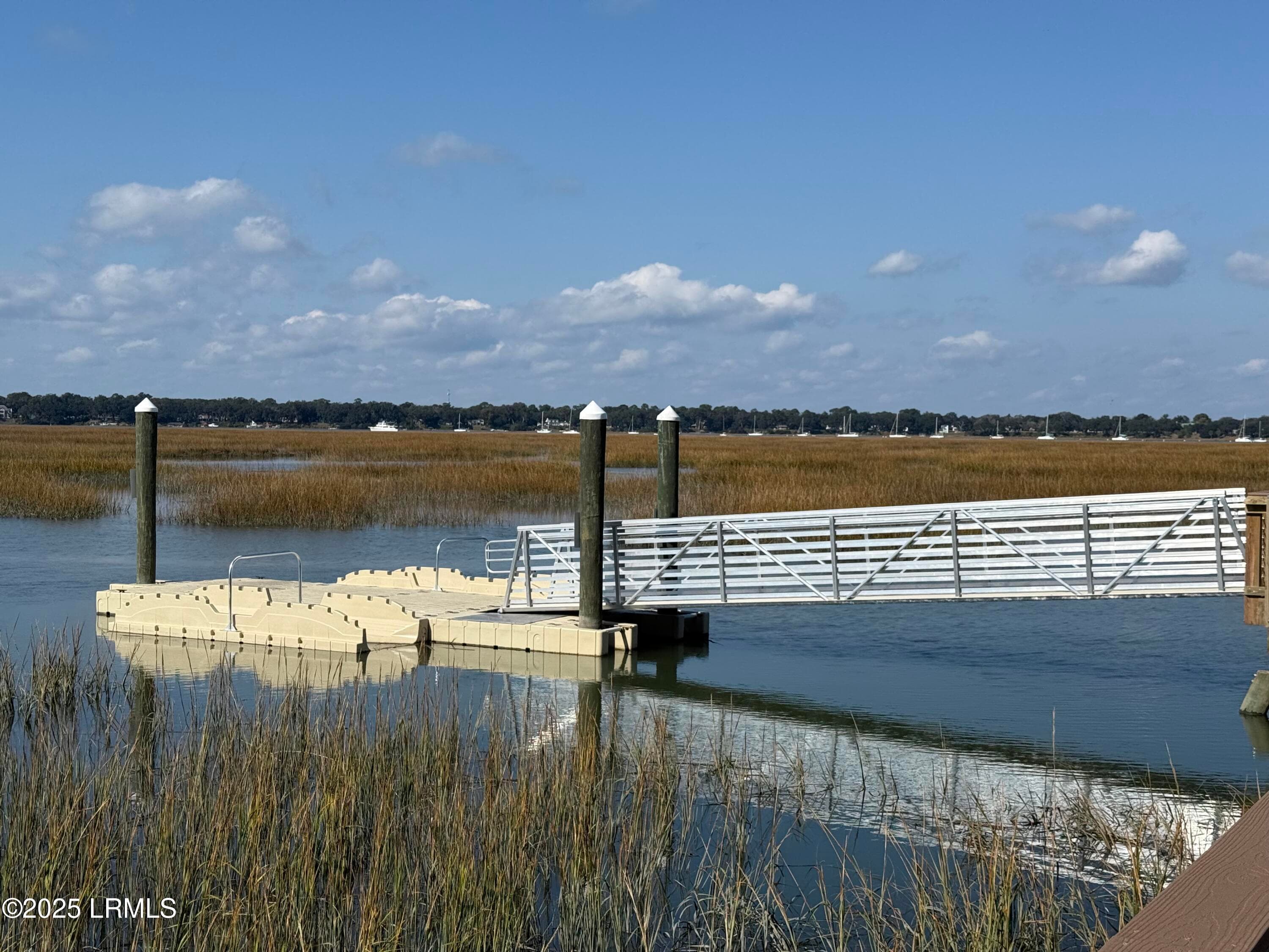 IMG_0926 - 6 Harborview Circle, Beaufort, SC 29907