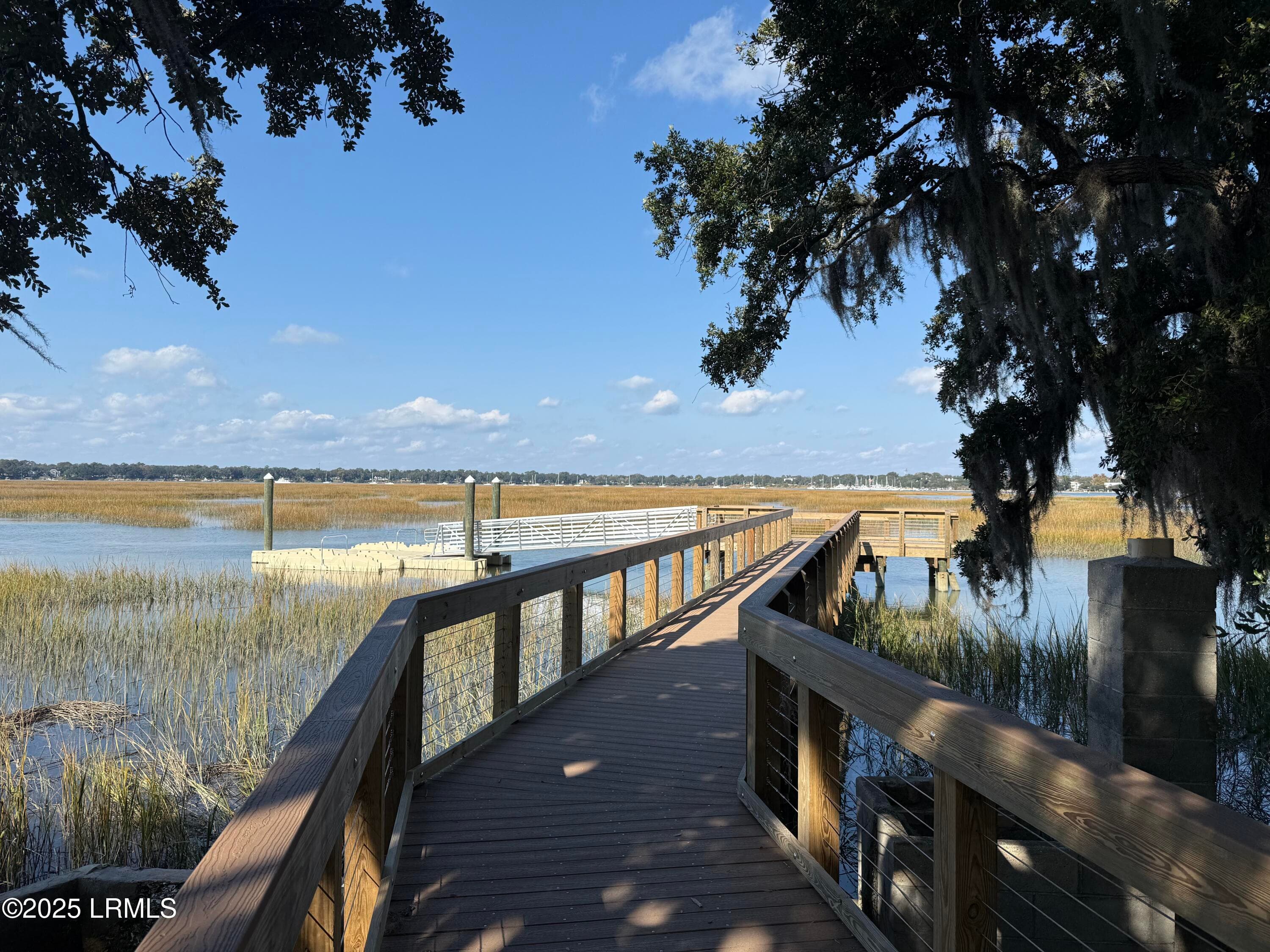 IMG_0925 - 6 Harborview Circle, Beaufort, SC 29907
