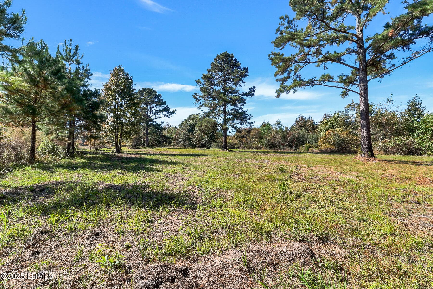 782 Strawberry Hill_-21 - 782 Strawberry Hill Road, Ridgeland, SC 29936