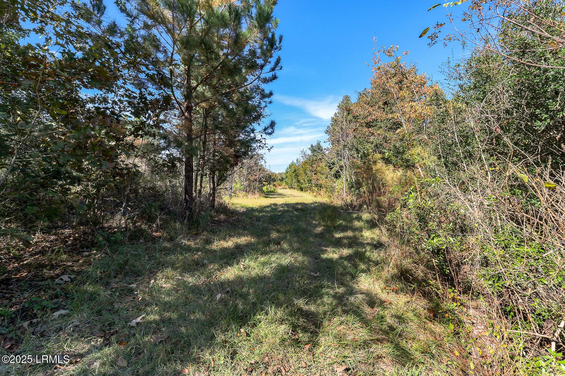 782 Strawberry Hill_-17 - 782 Strawberry Hill Road, Ridgeland, SC 29936