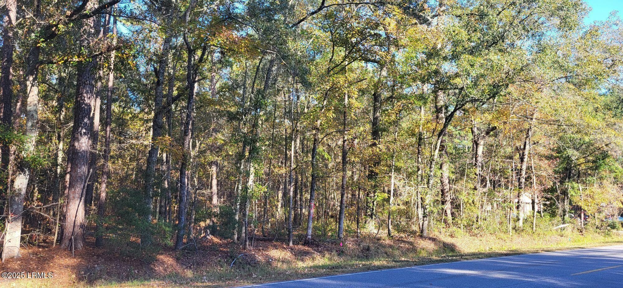 407 Wade Hampton Road, Hampton, SC 29924