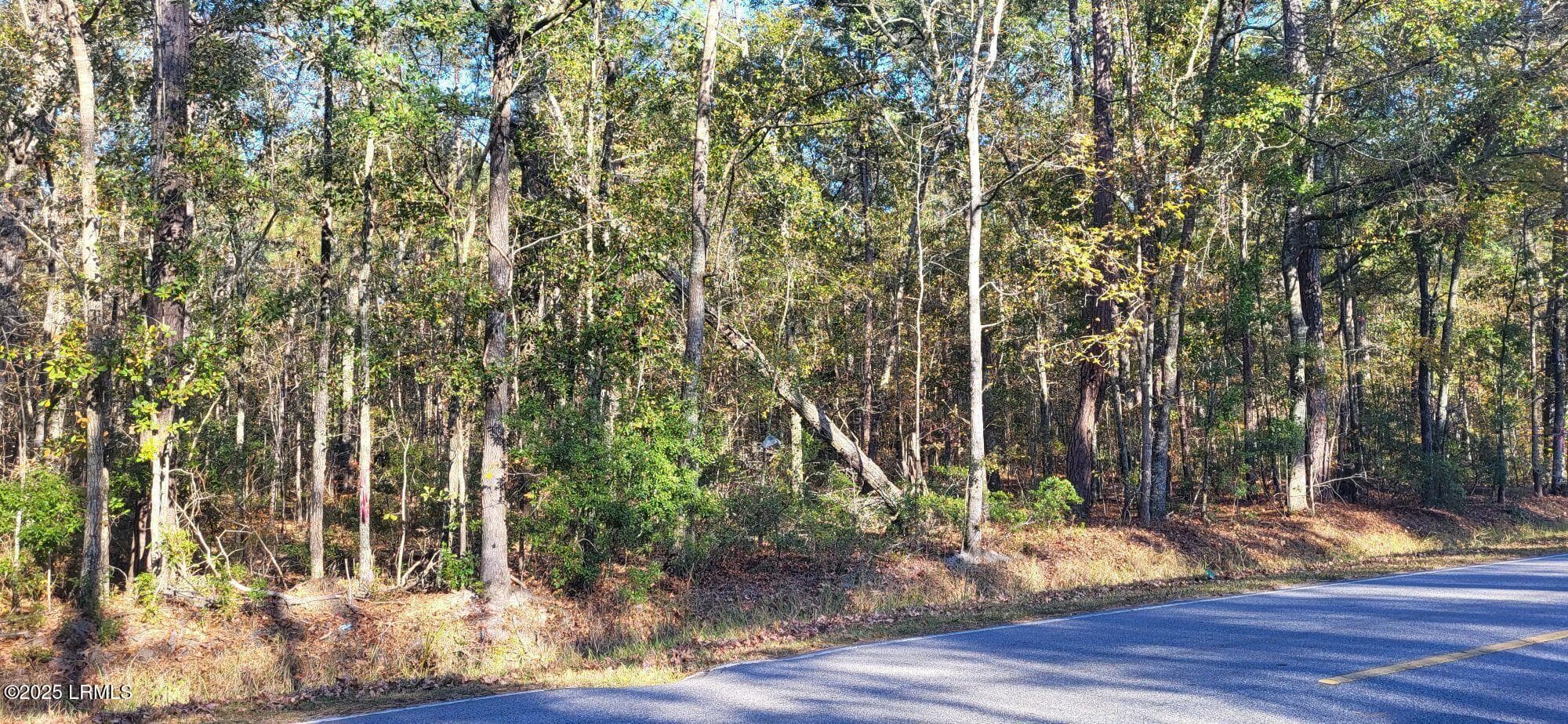 409 Wade Hampton Road, Hampton, SC 29924