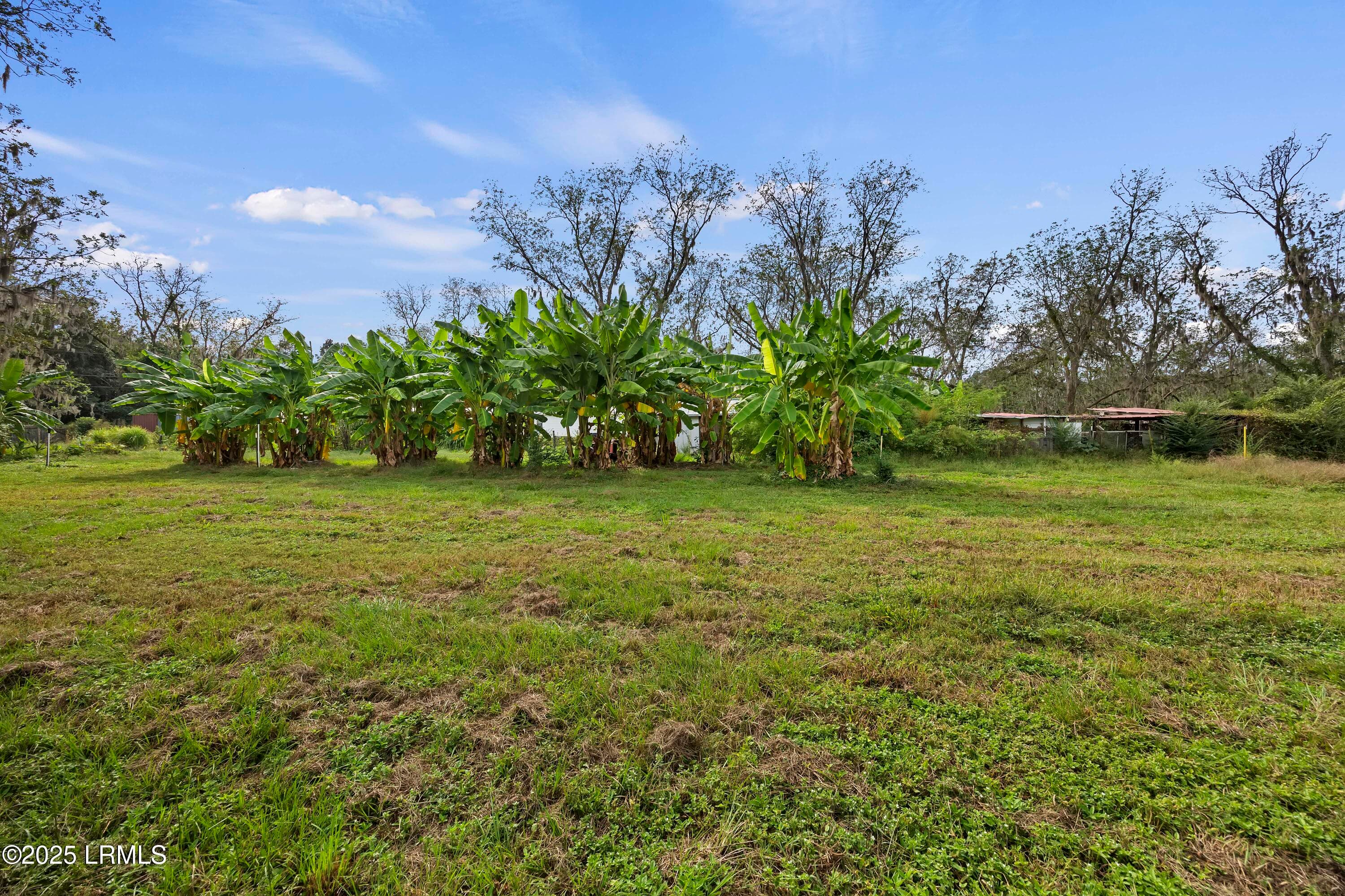 4R9A6839 - 196 Country Craft Road, Estill, SC 29918