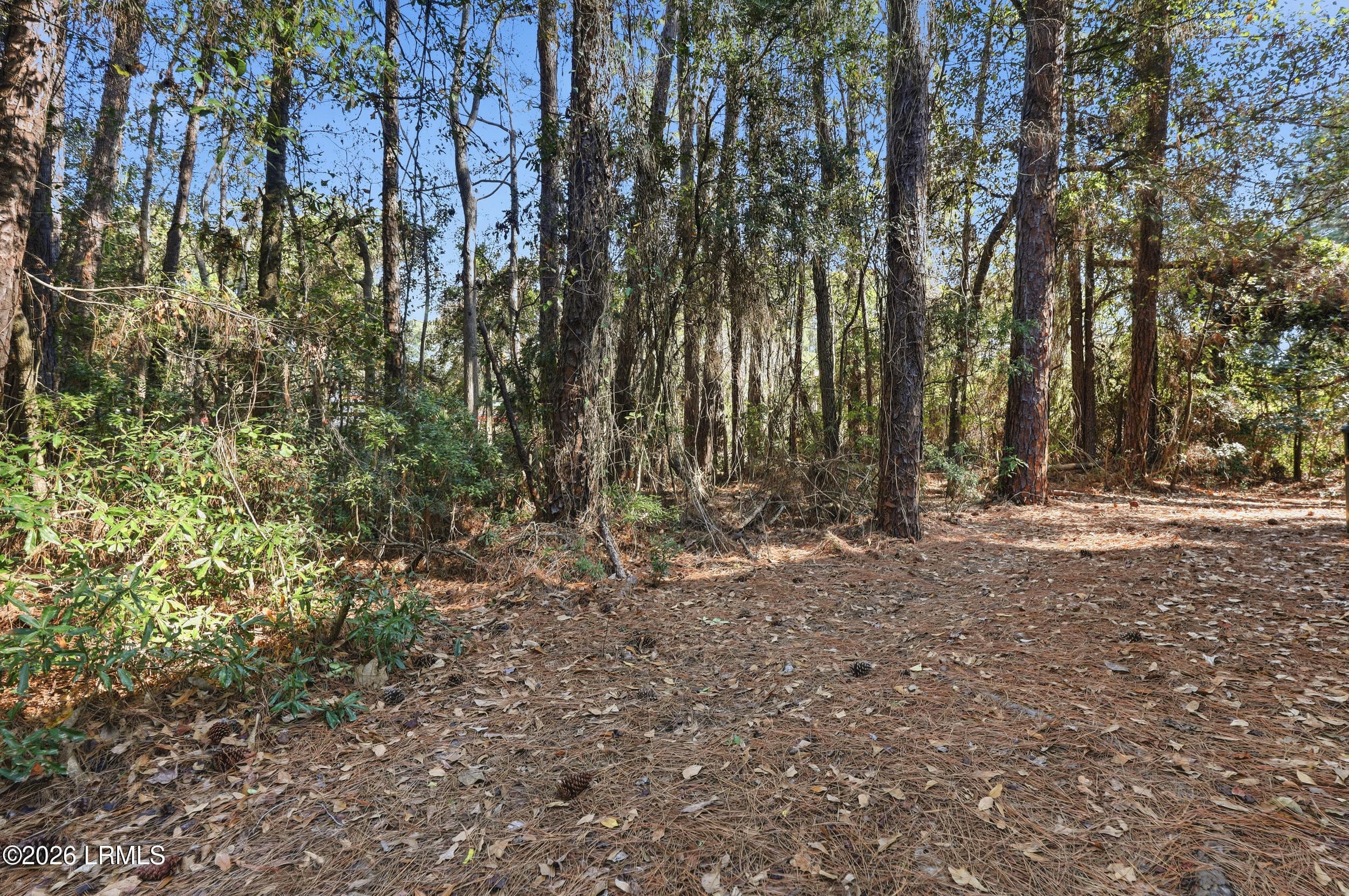 20_020_1x2a9055 - 6 Point Comfort Road 5a, Hilton Head Island, SC 29928