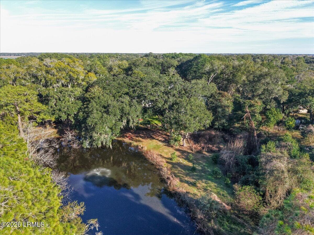 51-Drone Photography - 2021 Lafayette Street, Beaufort, SC 29902