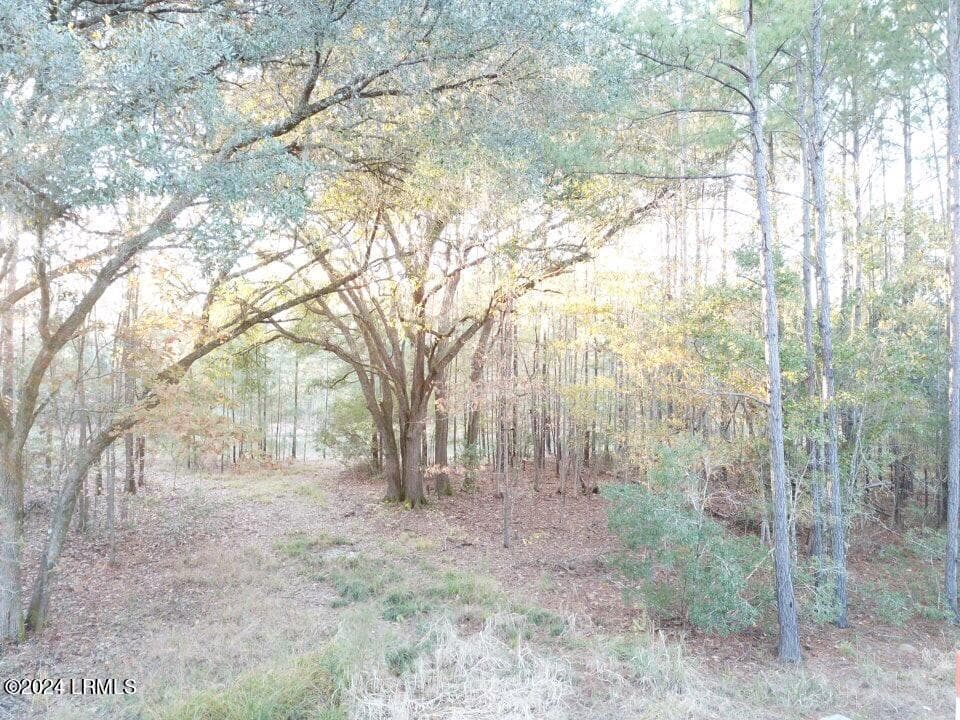 52C548E2-E1AF-446E-BCF9-4F75E270BC95 - 160 Somerset Drive, Yemassee, SC 29945