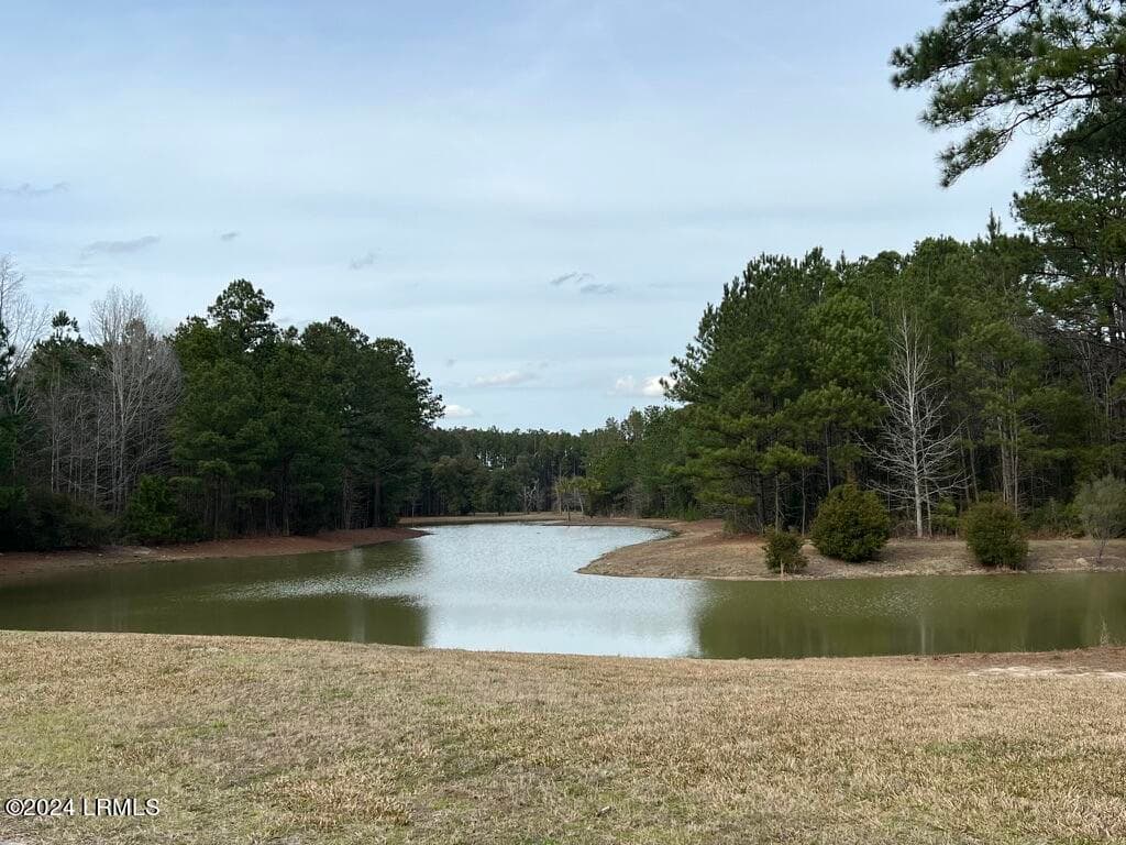5E06C1AD-7368-4311-9C27-DDFA77E8237F_1_1 - 160 Somerset Drive, Yemassee, SC 29945