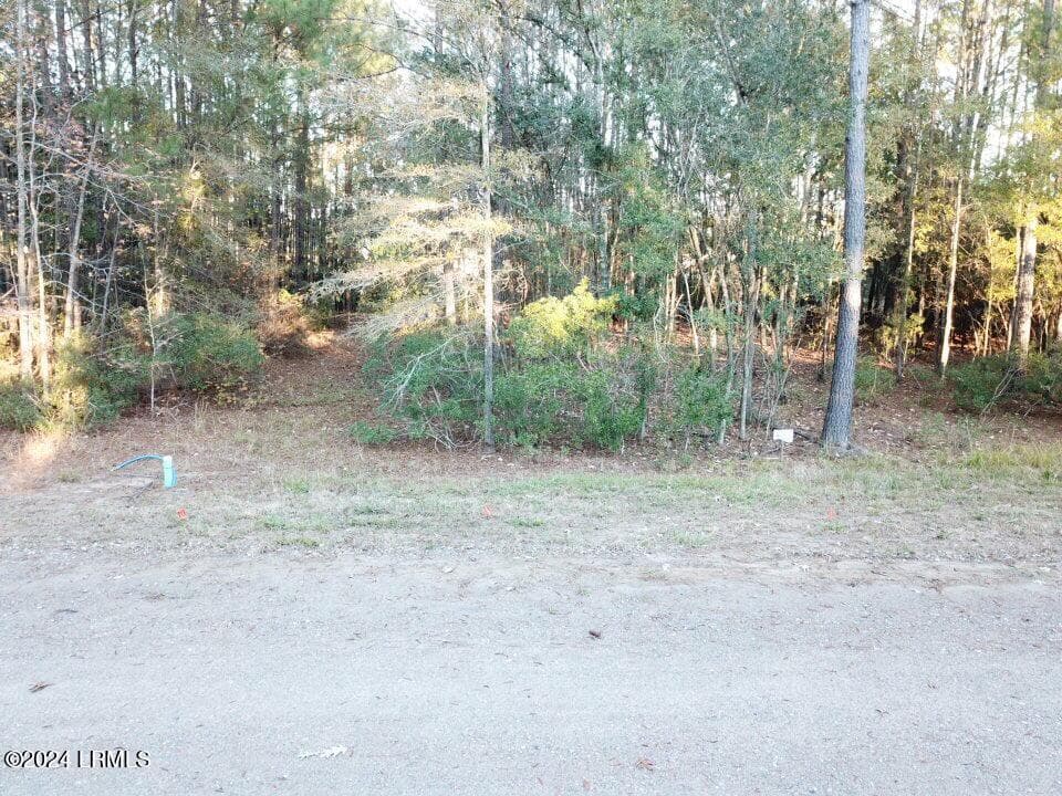 B5F9FE81-DCD3-4C61-B47F-36F14DE8D606 - 160 Somerset Drive, Yemassee, SC 29945