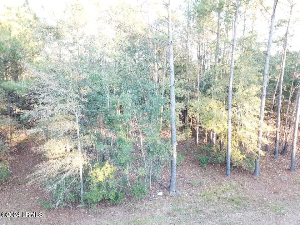 7619C844-06BF-4D40-91D3-C8FAFE5C67E5 - 160 Somerset Drive, Yemassee, SC 29945