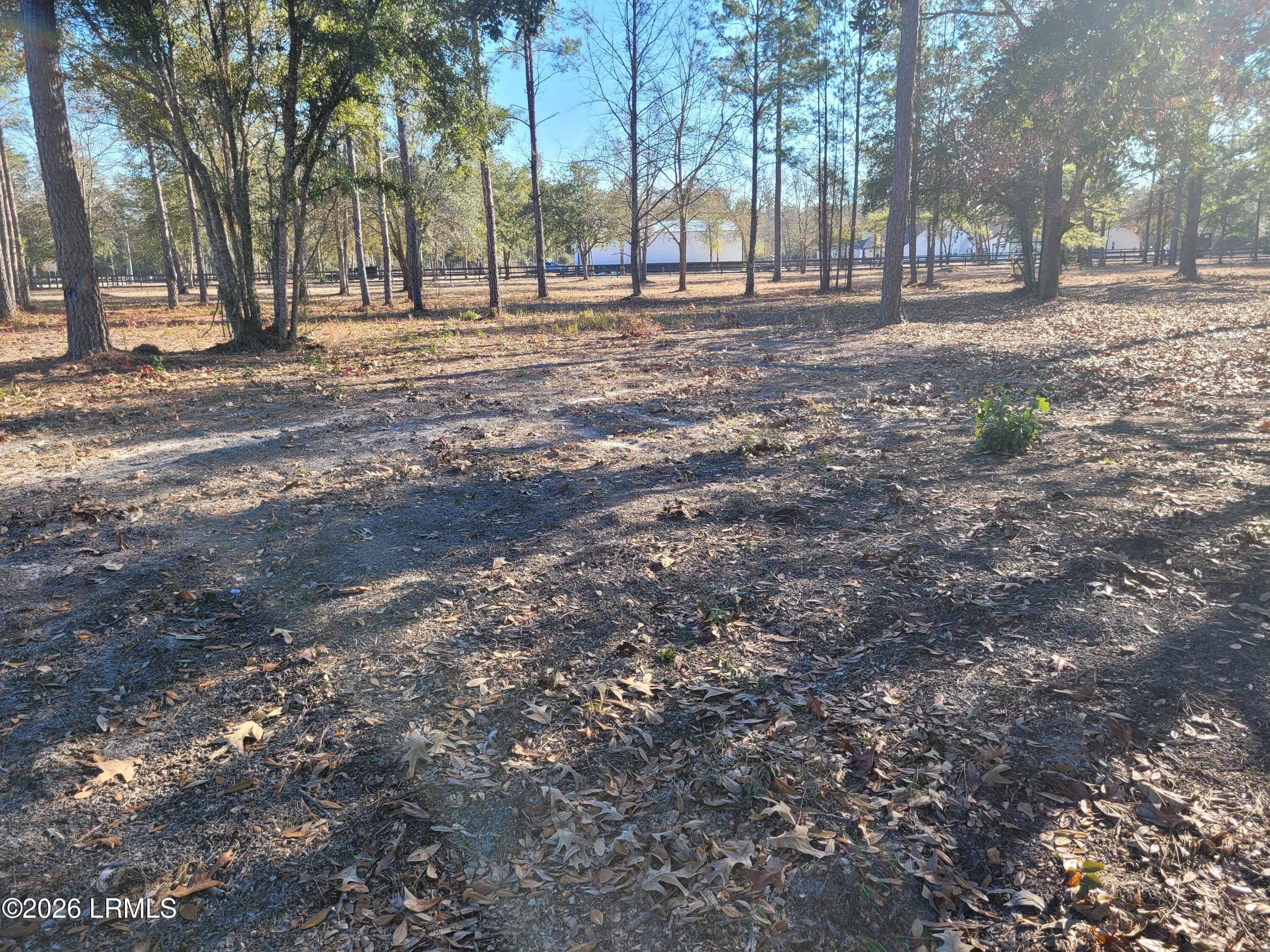 Beaver Dam from Rd to Neighbors - Tbd Beaver Dam Road, Ridgeland, SC 29936, Ridgeland